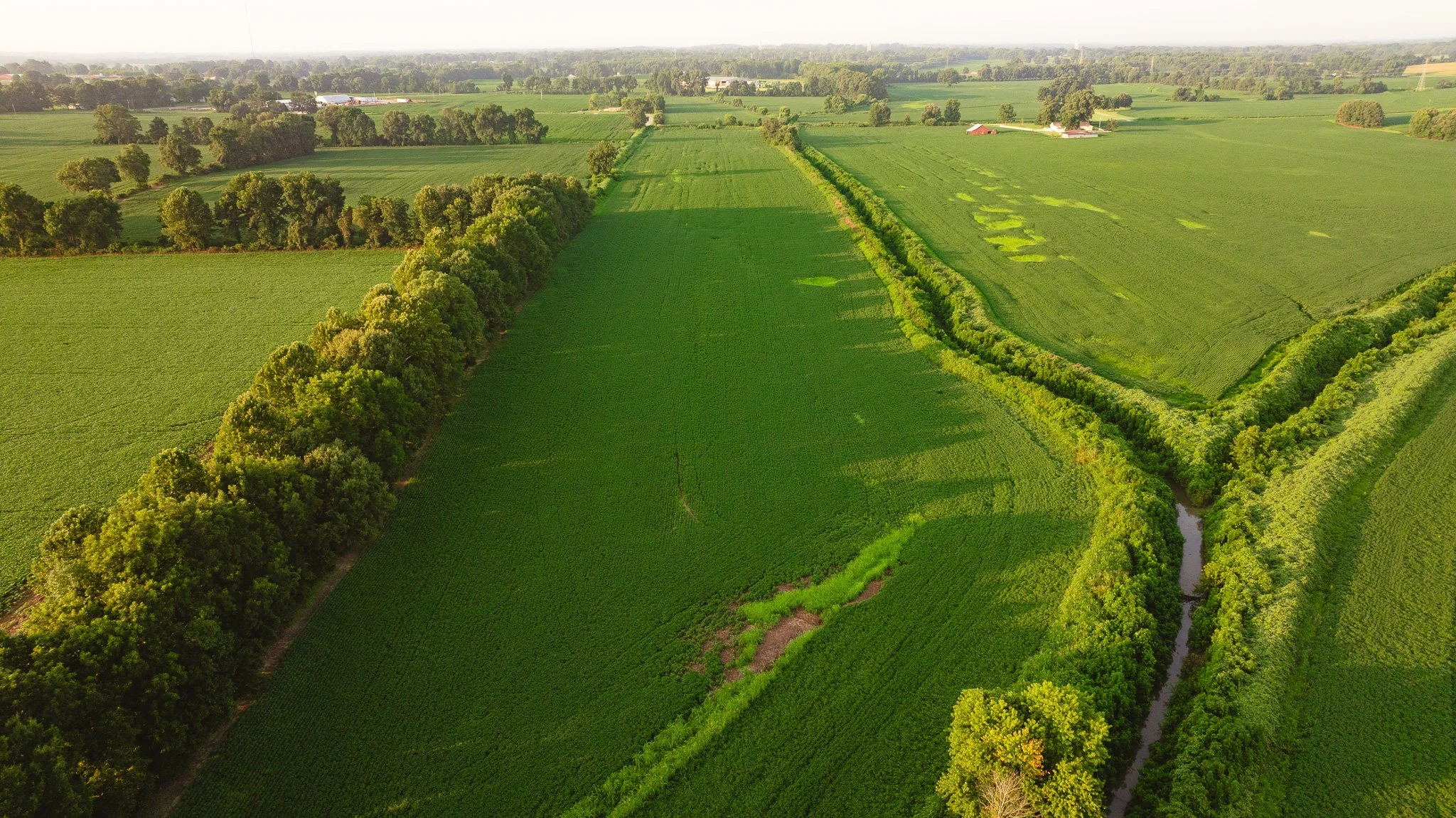 DJI_20260726141807_0073_D.jpg