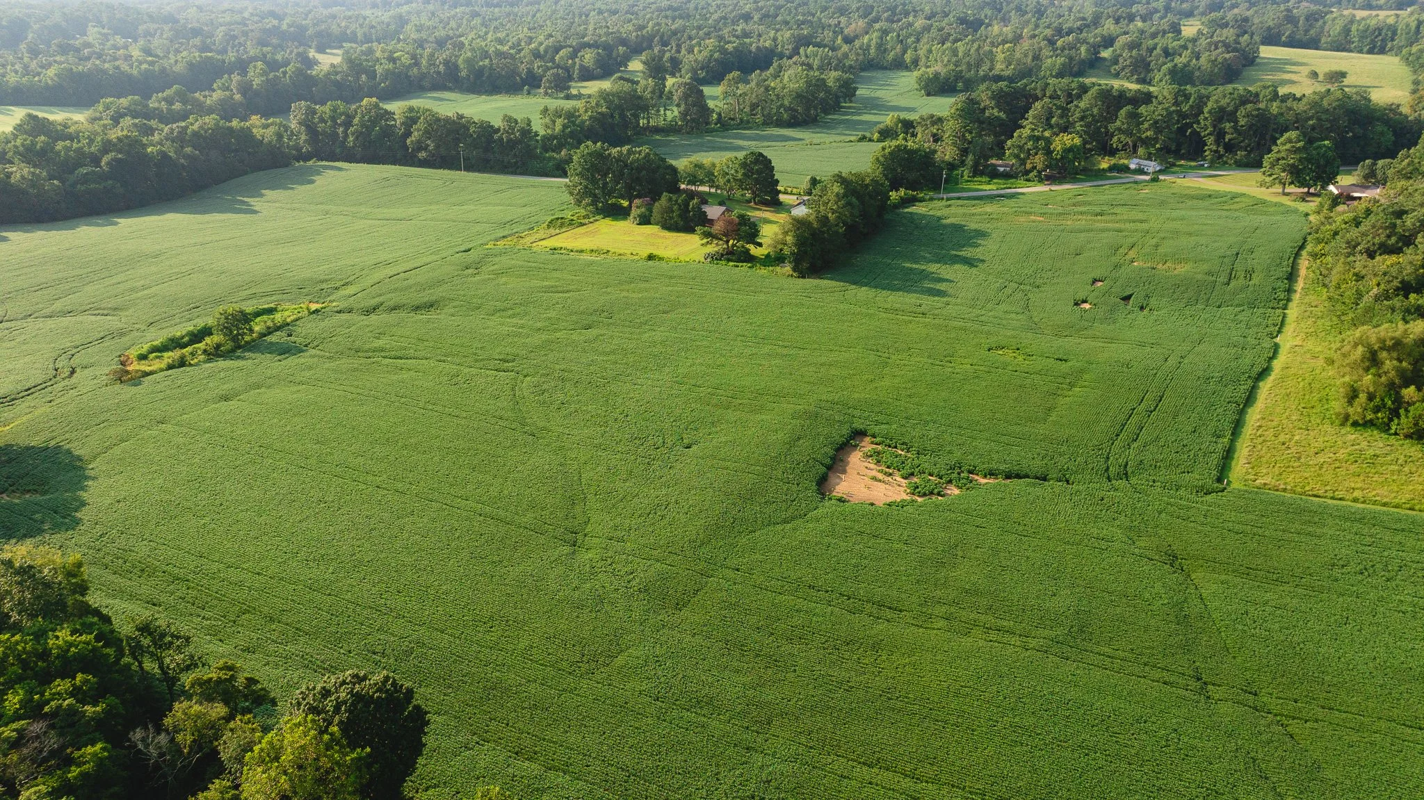 DJI_20260804152314_0076_D.jpg