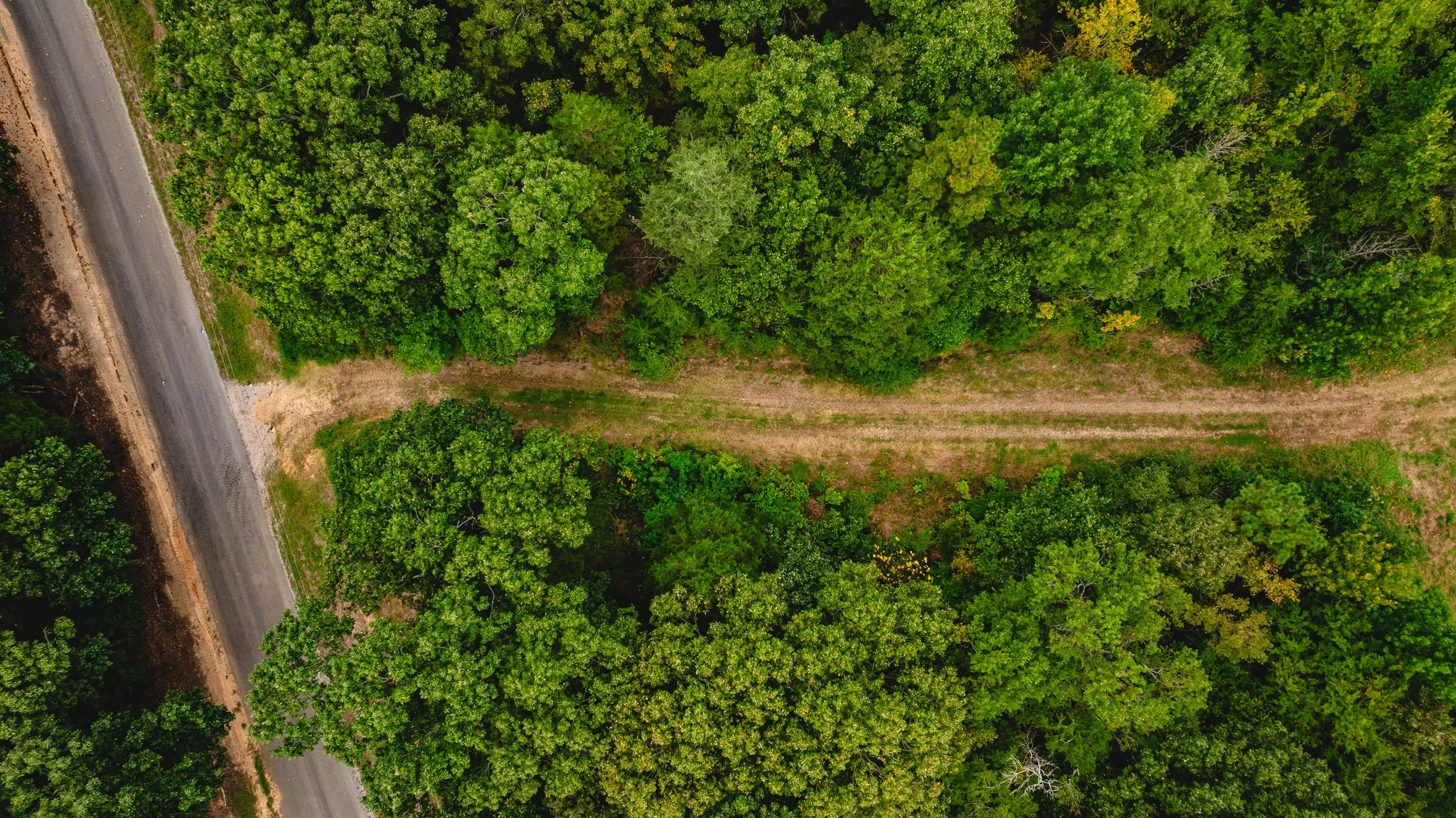 DJI_20260817172643_0035_D.jpg