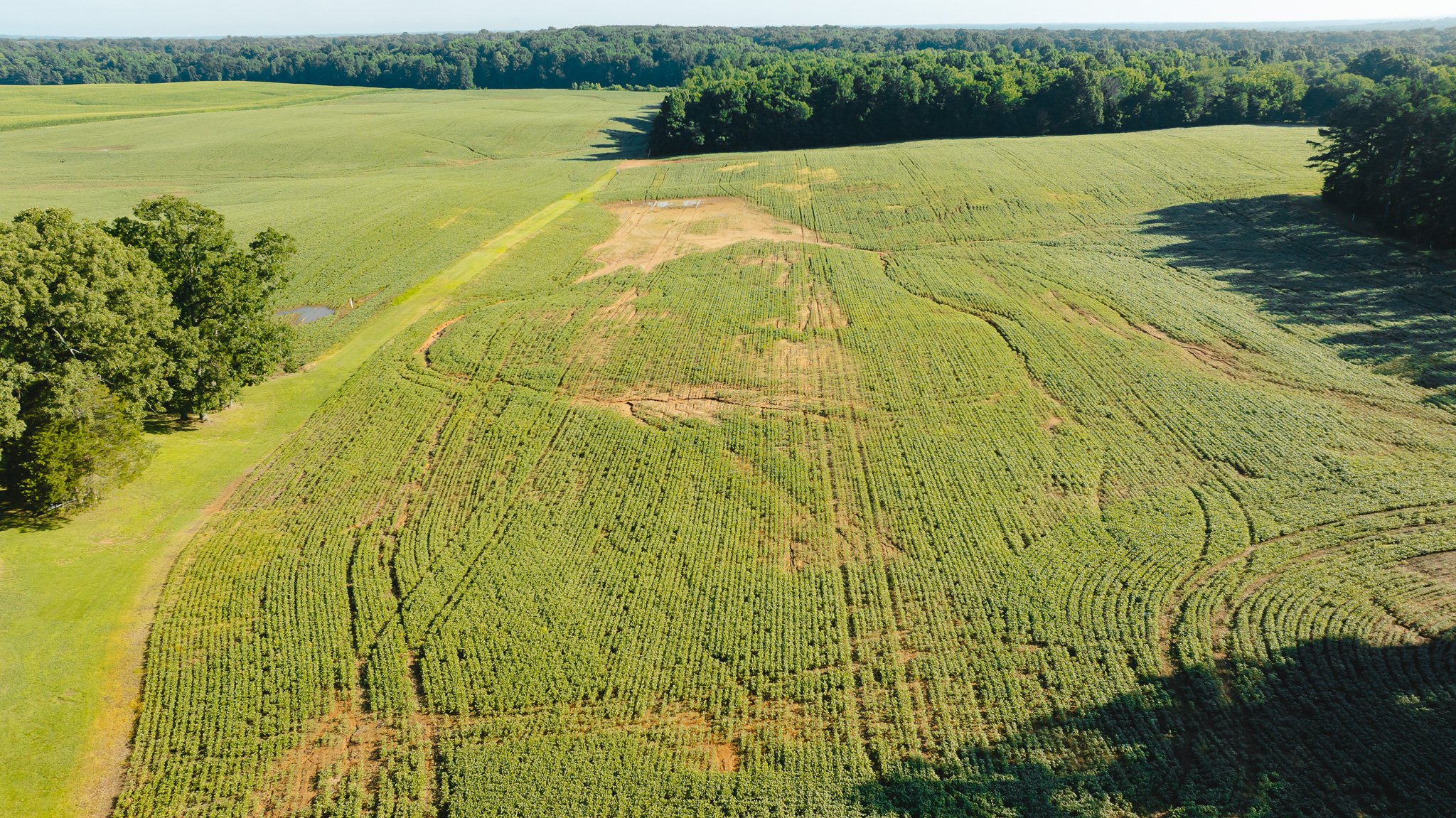 DJI_20260621152734_0044_D.jpg
