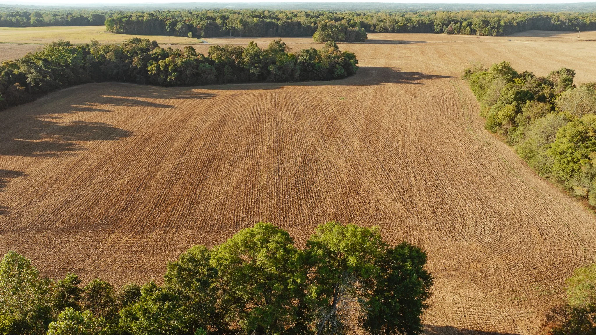 DJI_20261007150943_0025_D.jpg