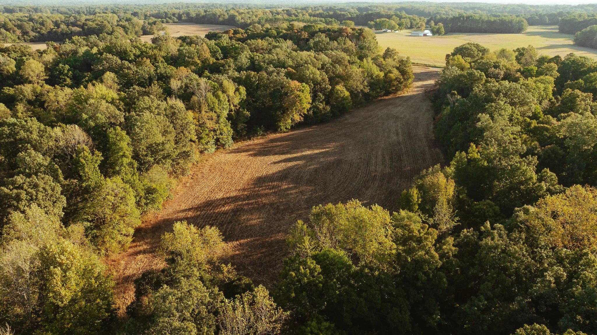 DJI_20261007150740_0018_D.jpg