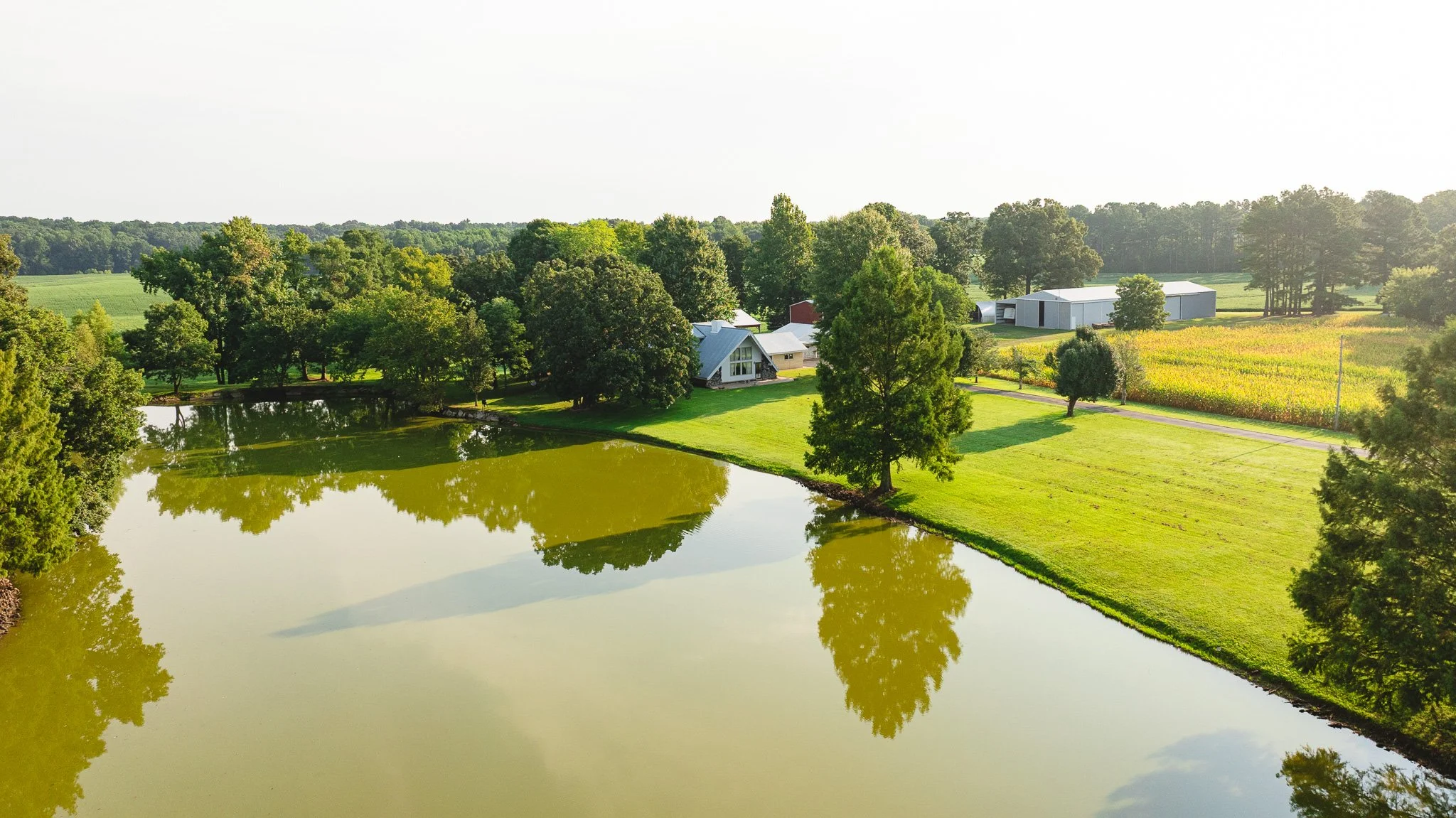 DJI_20260804152555_0084_D.jpg