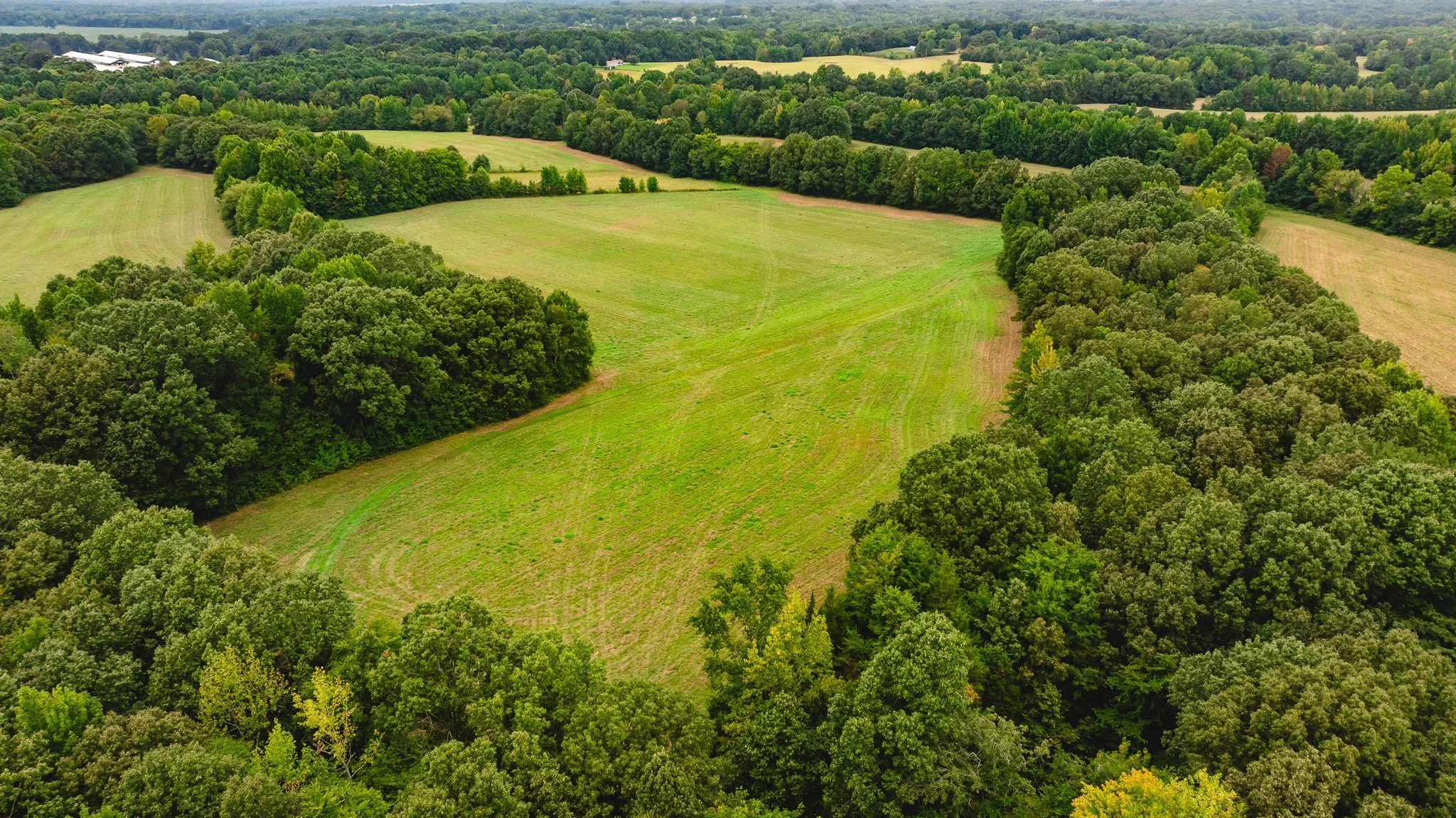 DJI_20260817172214_0023_D.jpg