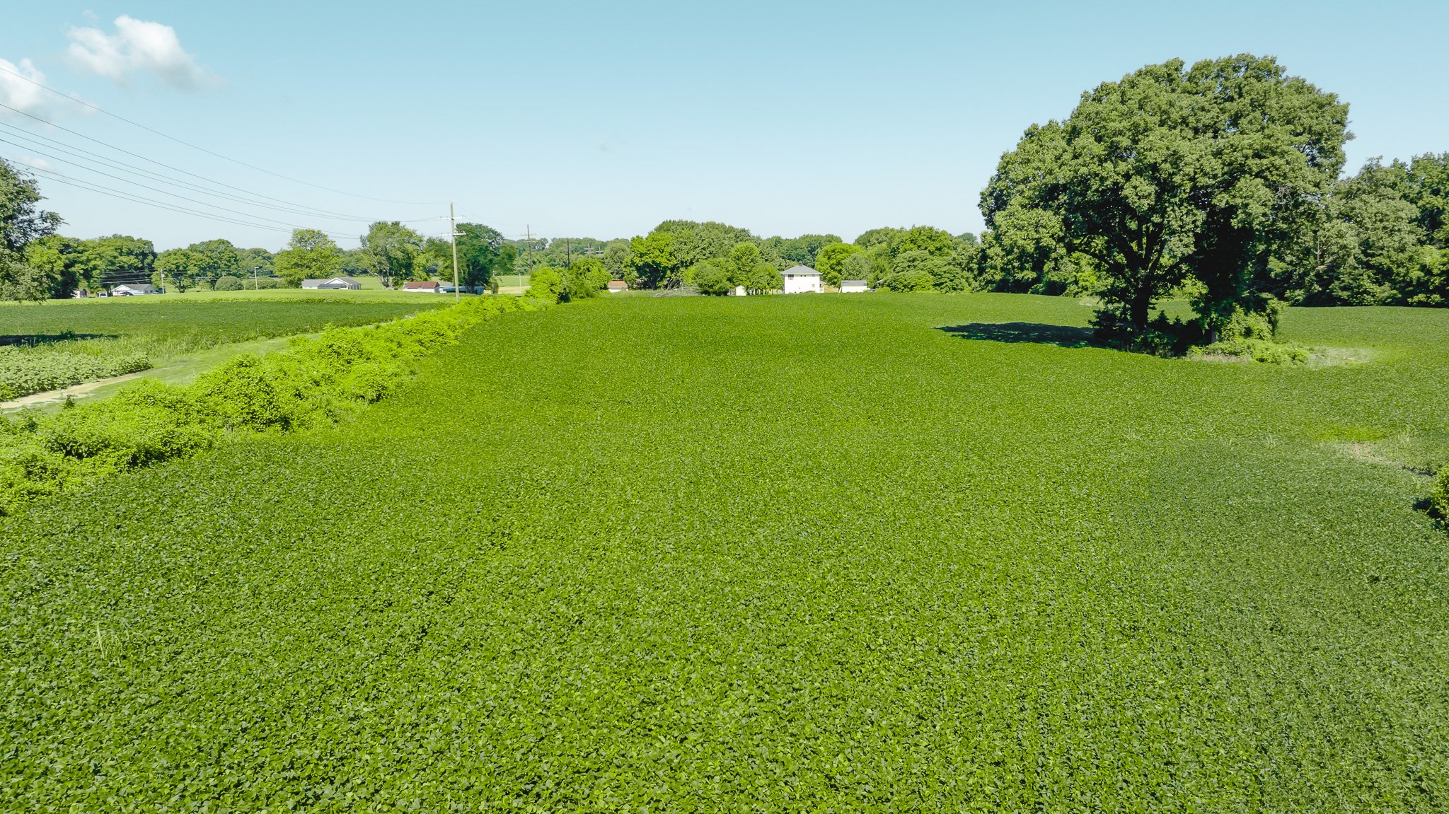 DJI_20260614170141_0009_D.jpg