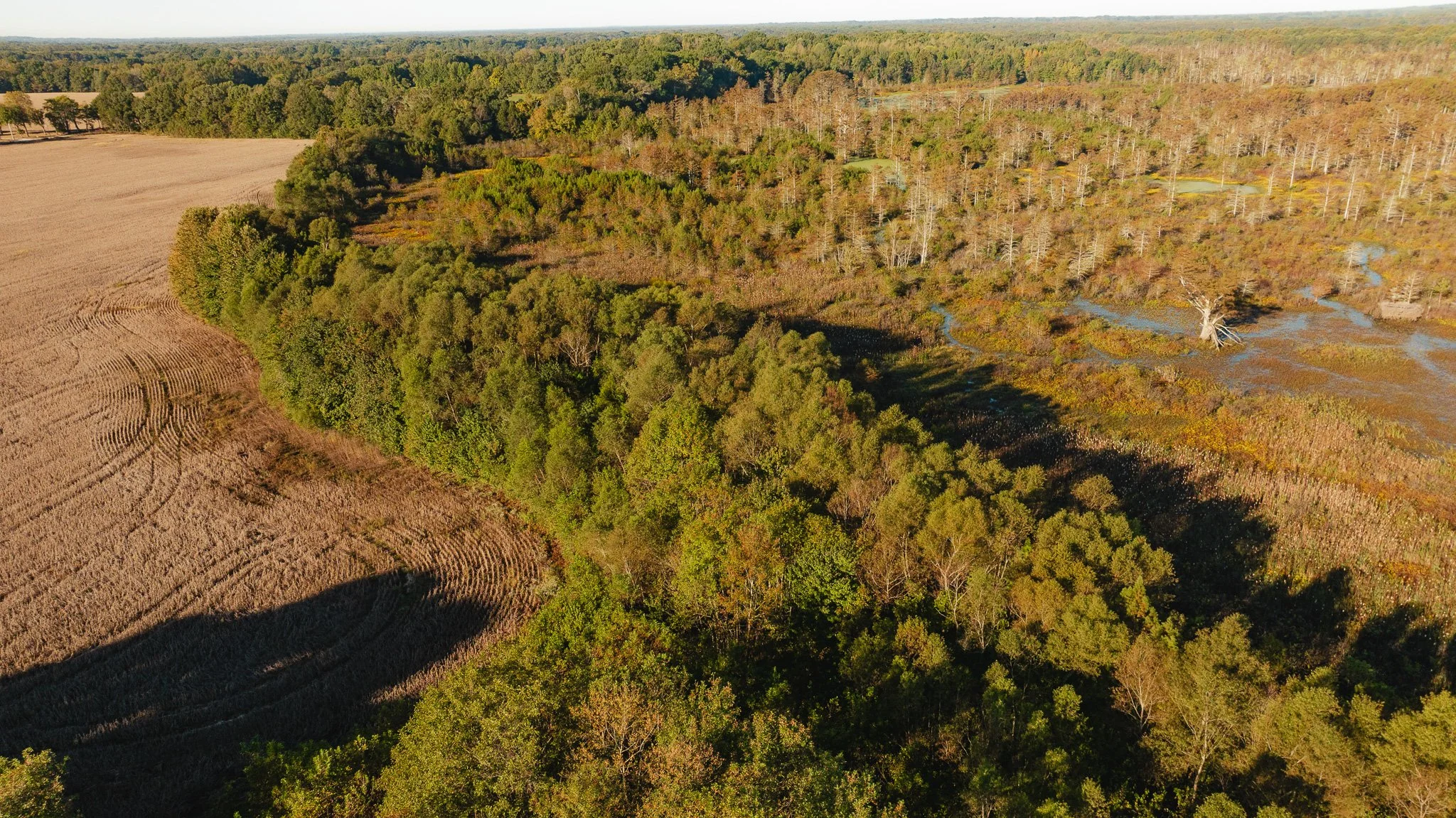 DJI_20261018154928_0017_D.jpg