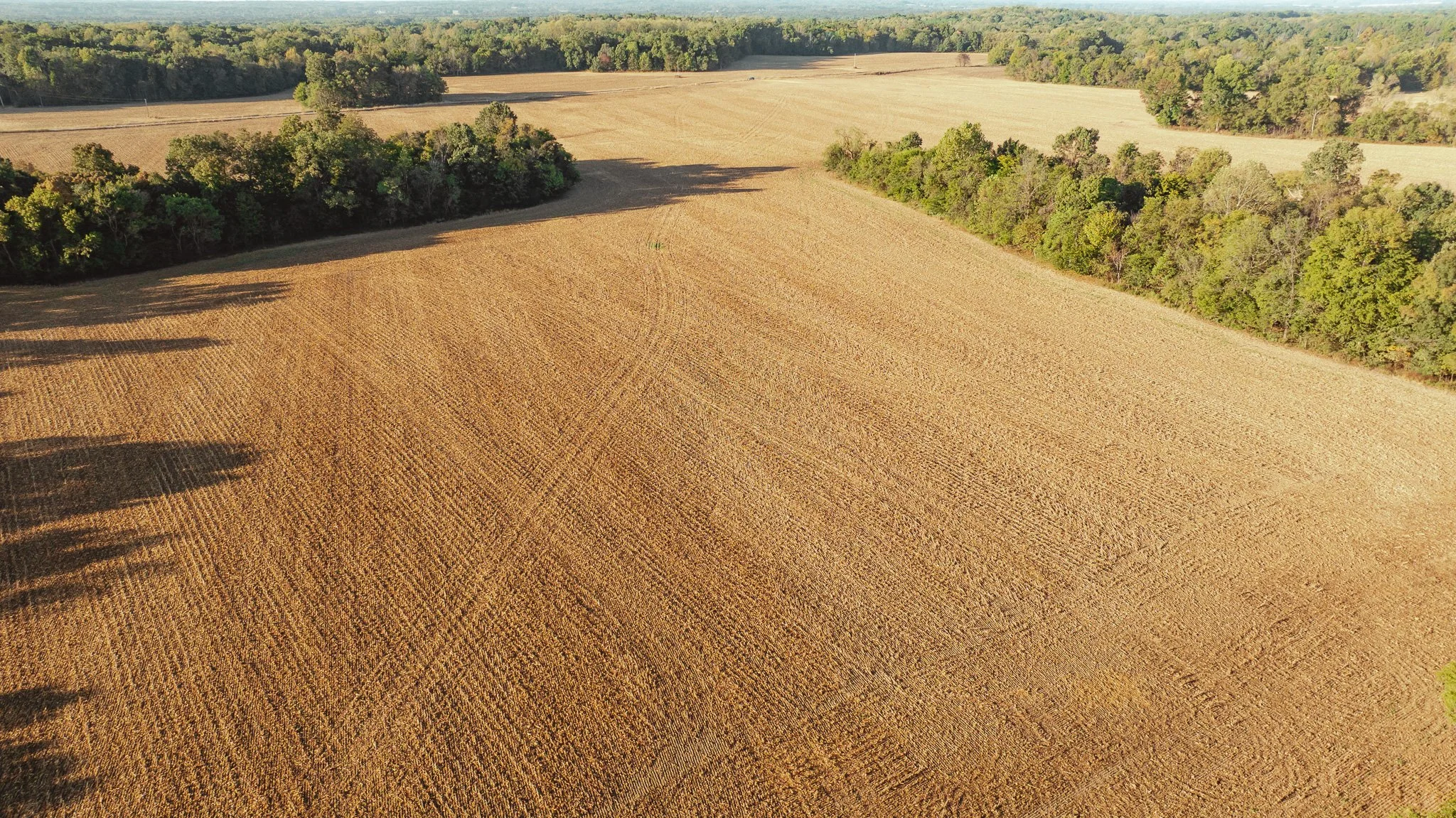 DJI_20261007150954_0026_D.jpg