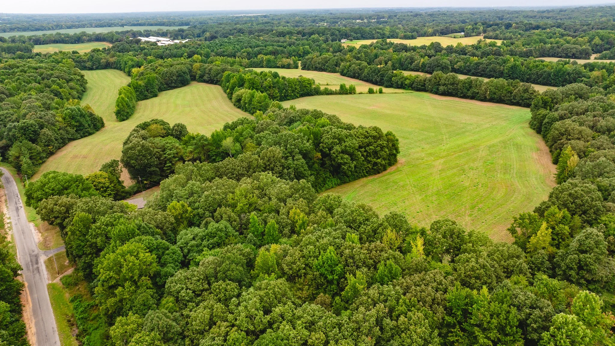 DJI_20260817172632_0034_D.jpg
