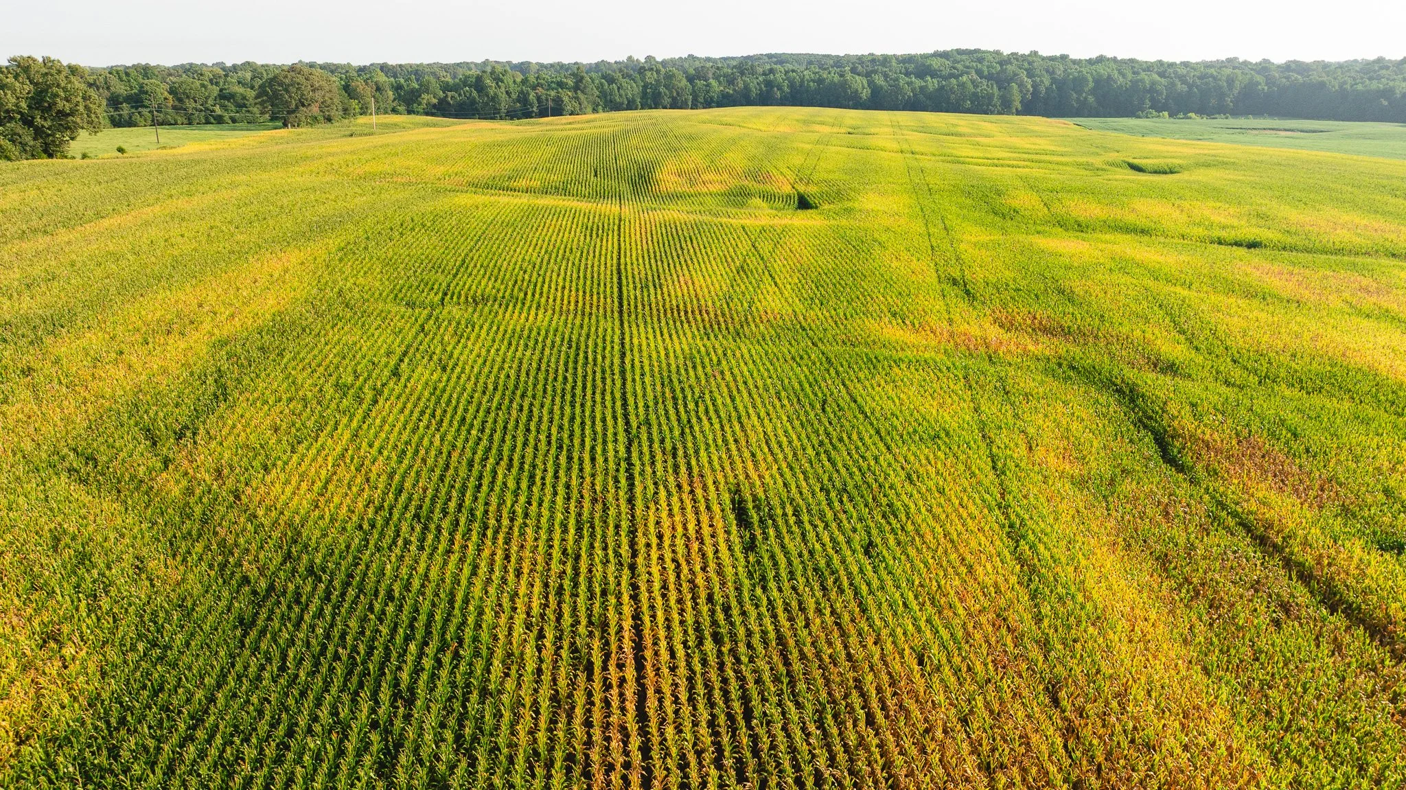 DJI_20260804151646_0055_D.jpg