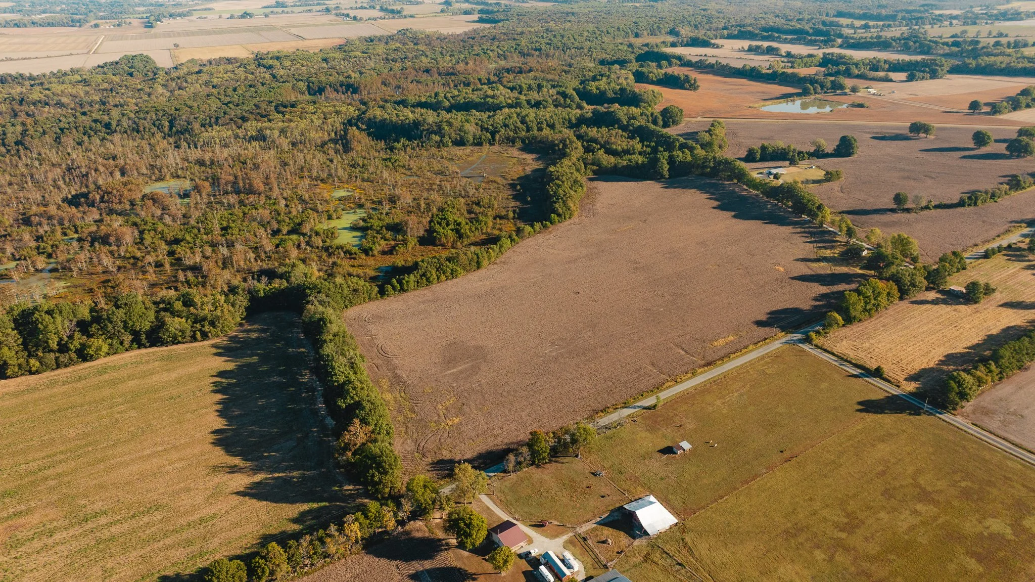 DJI_20261018154705_0012_D.jpg