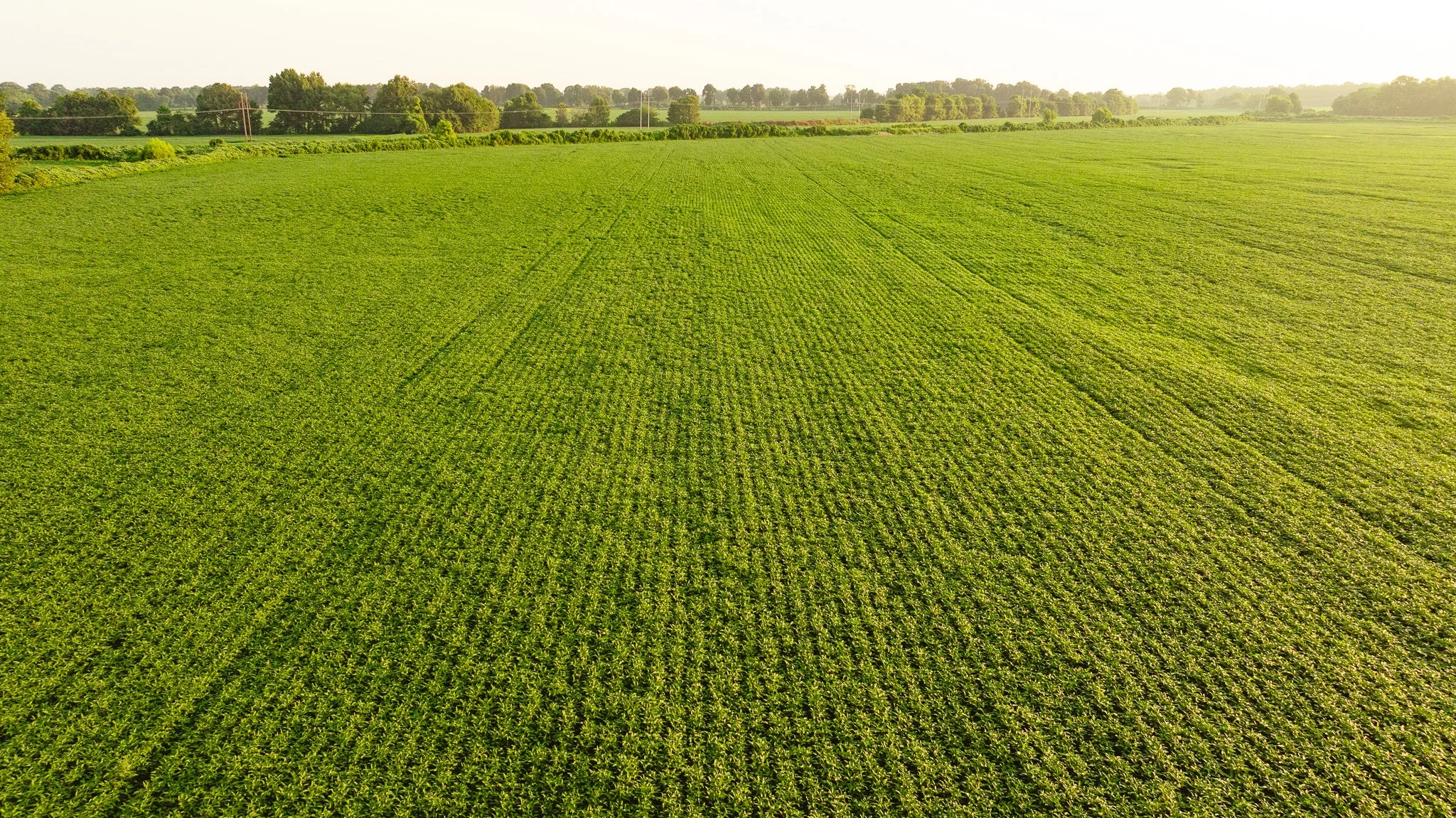 DJI_20260726140927_0055_D.jpg