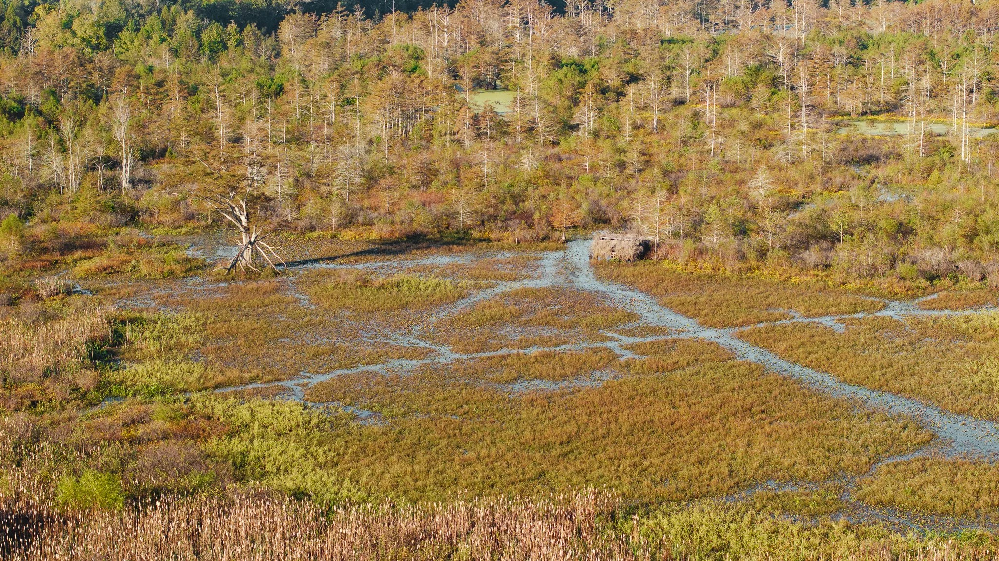 DJI_20261018154202_0002_D.jpg
