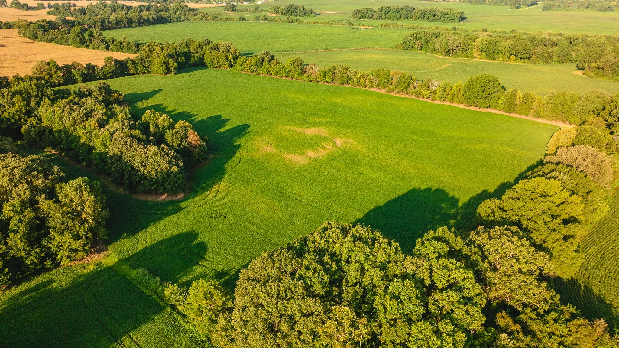 DJI_20260810150614_0021_D.jpg