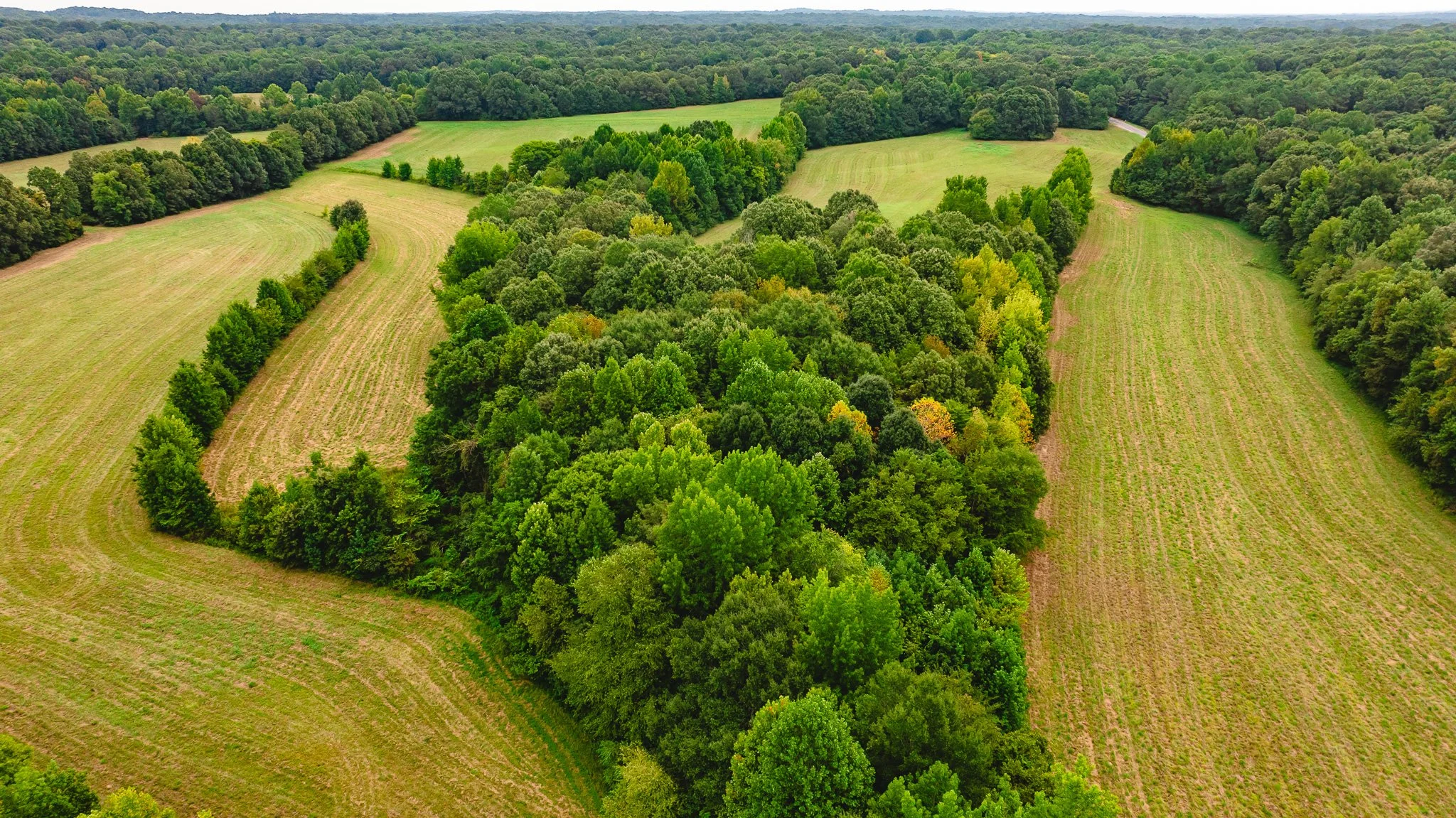 DJI_20260817171256_0004_D.jpg