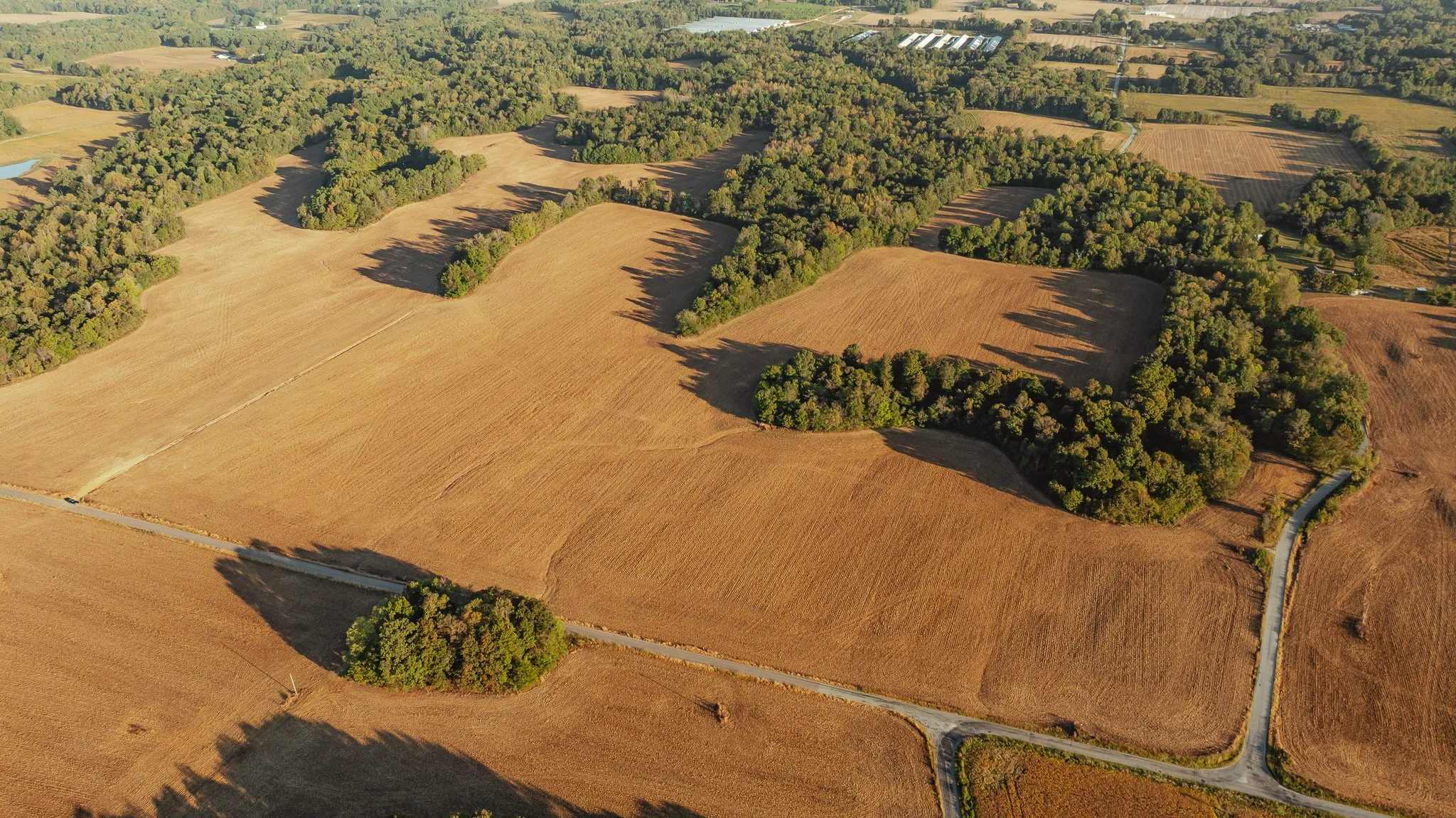 DJI_20261007145954_0005_D.jpg