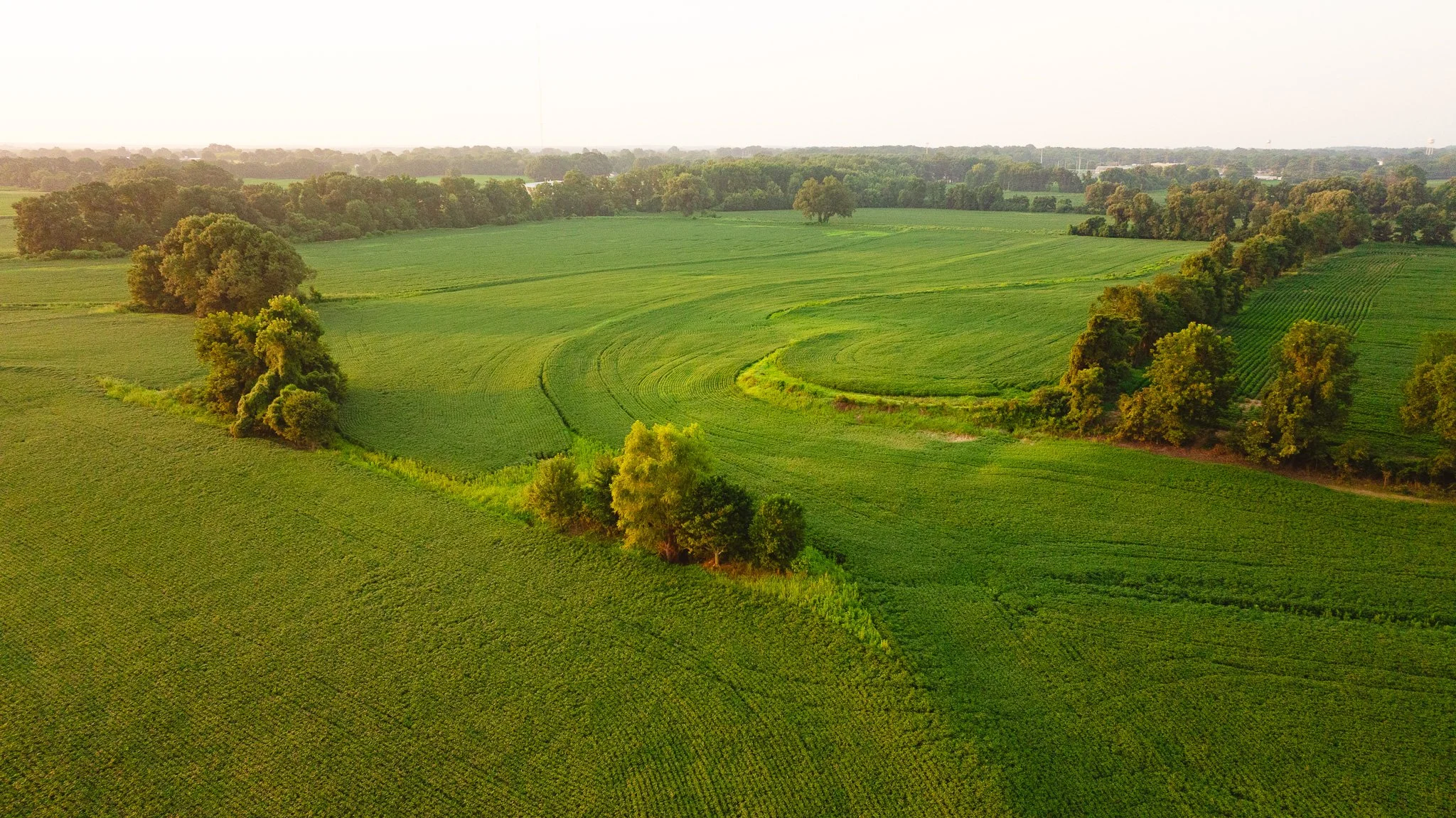 DJI_20260726134958_0017_D.jpg