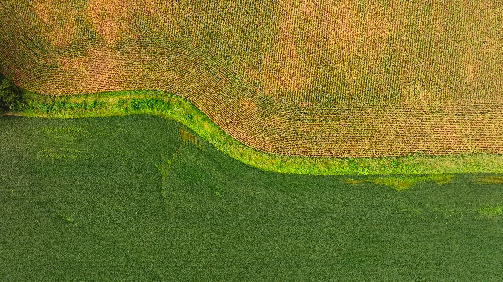 DJI_20260729161213_0094_D.jpg