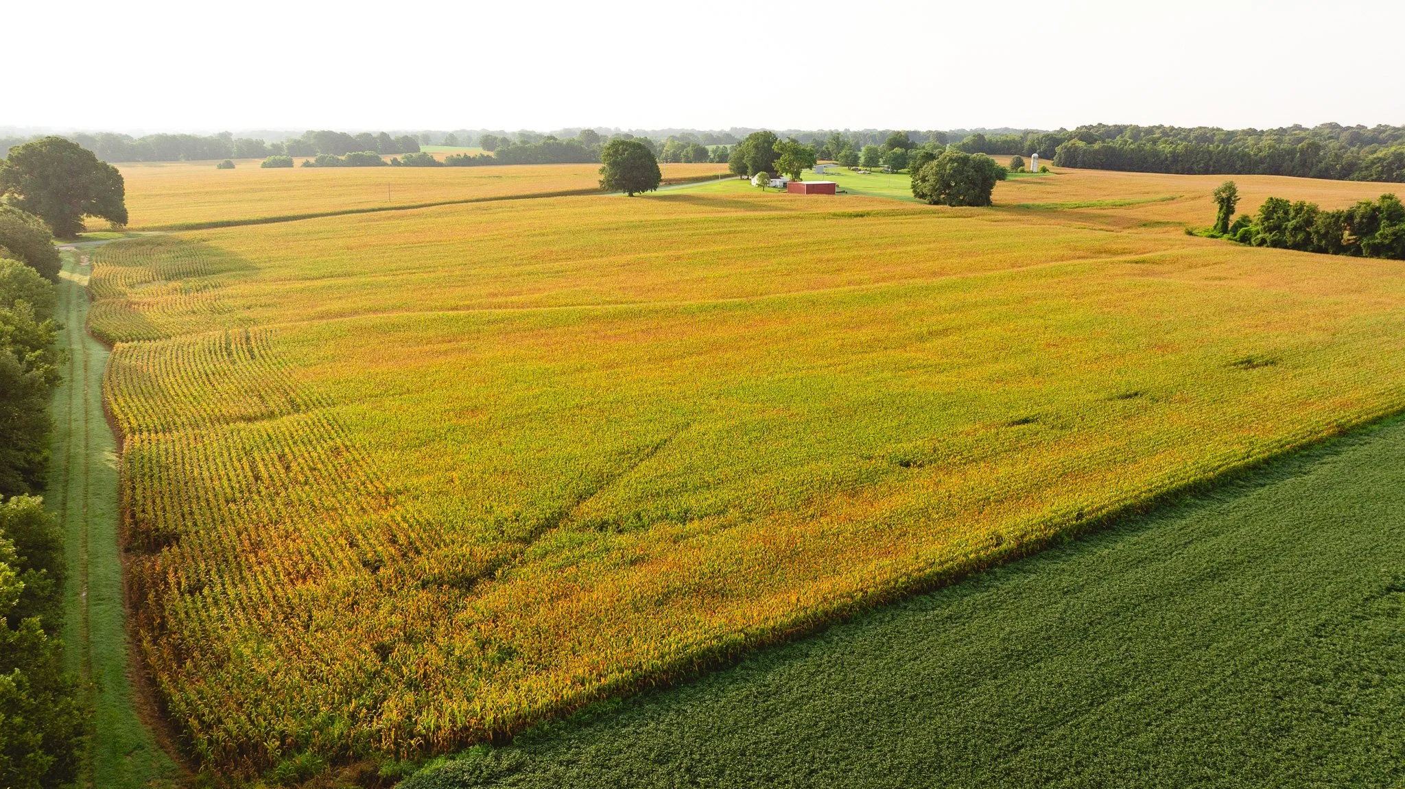 DJI_20260729144541_0075_D.jpg