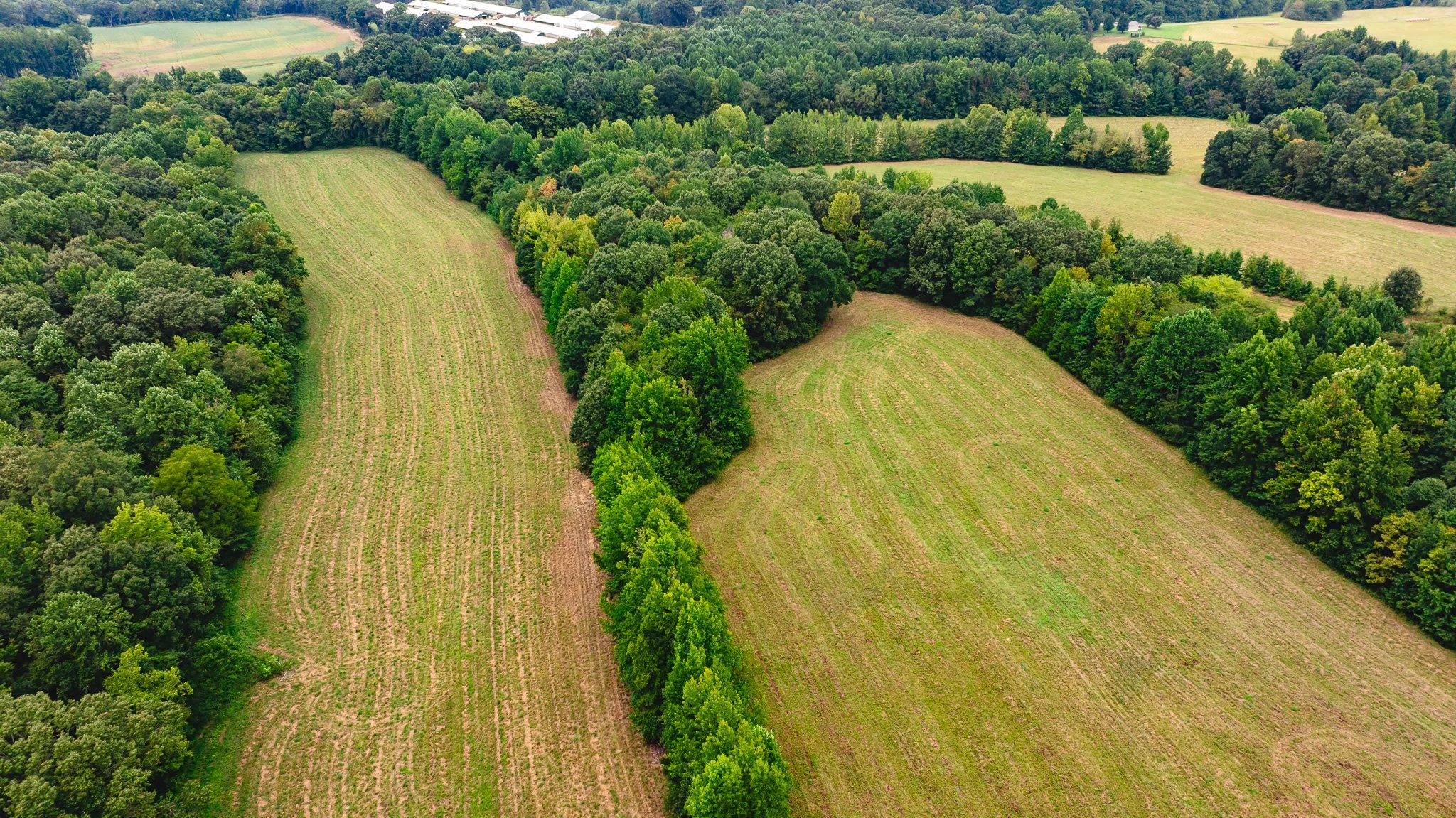 DJI_20260817172546_0031_D.jpg