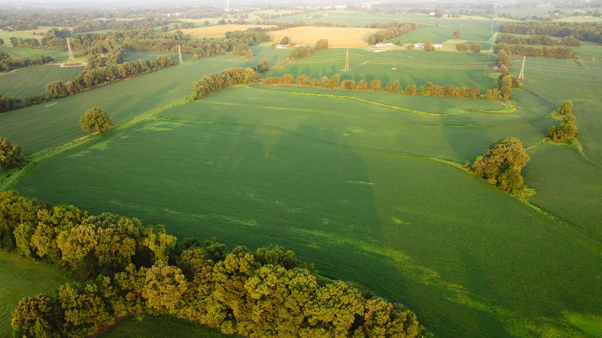 DJI_20260726135324_0022_D.jpg