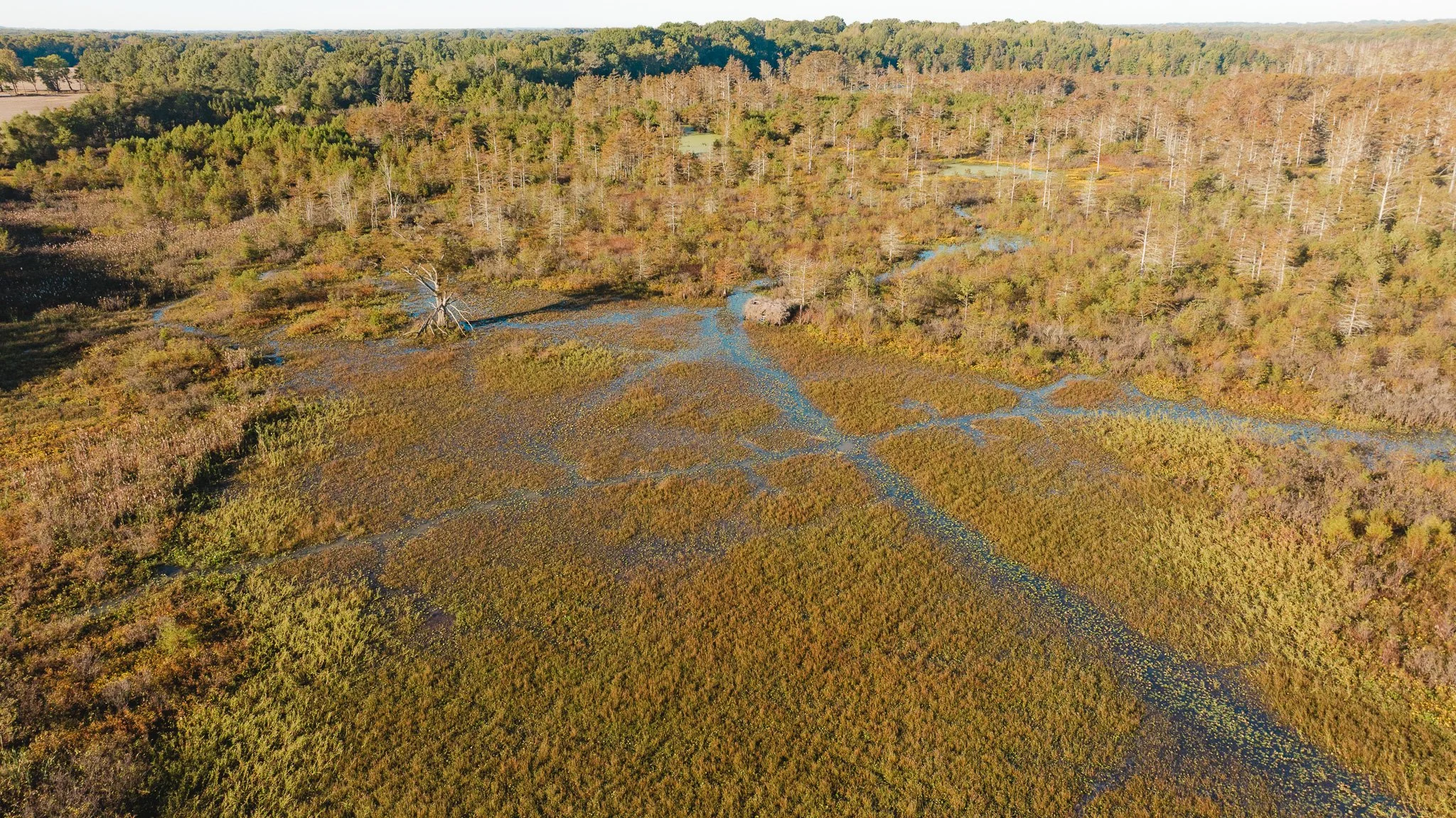 DJI_20261018154134_0001_D.jpg