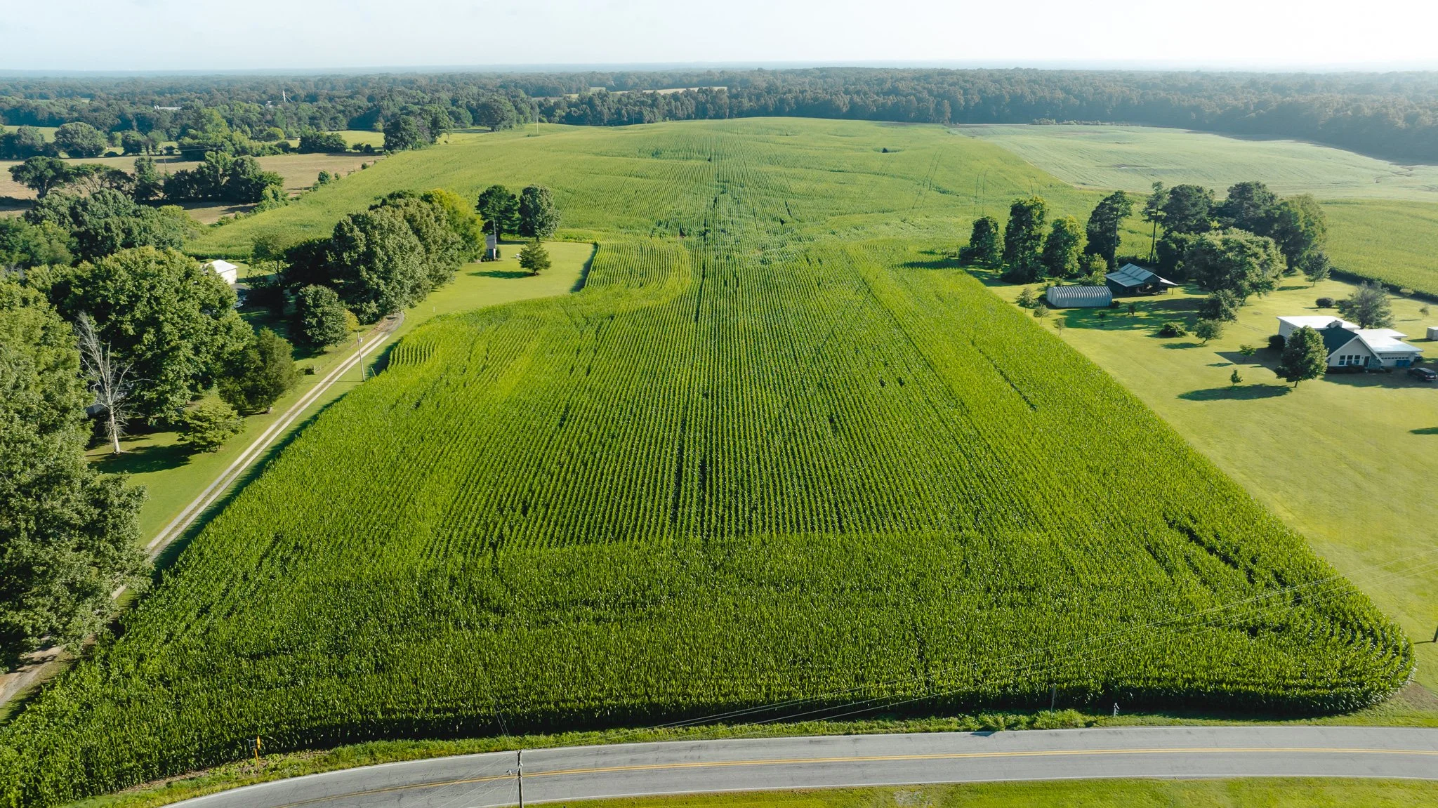 DJI_20260621151032_0006_D.jpg