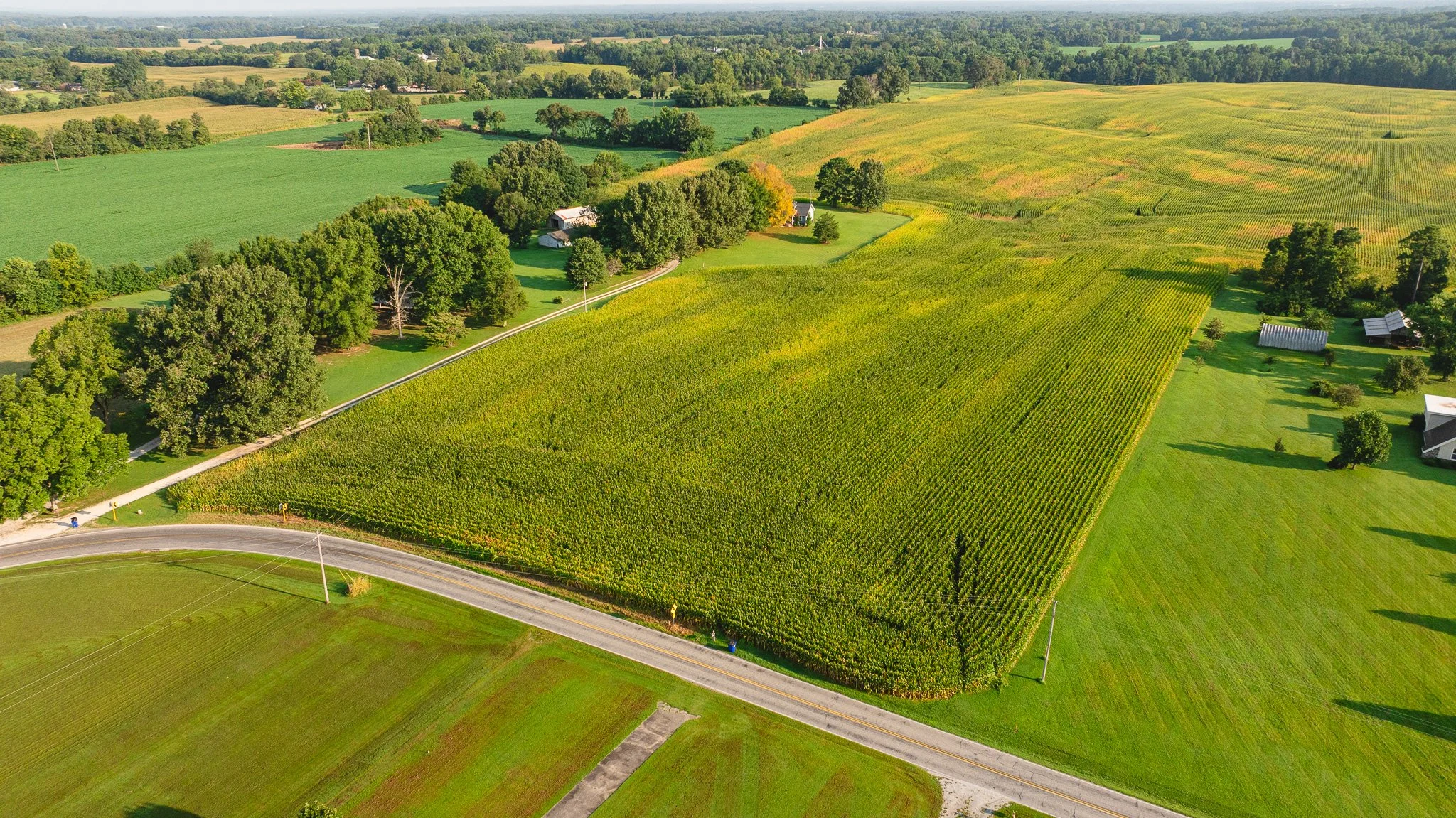 DJI_20260804151337_0045_D.jpg