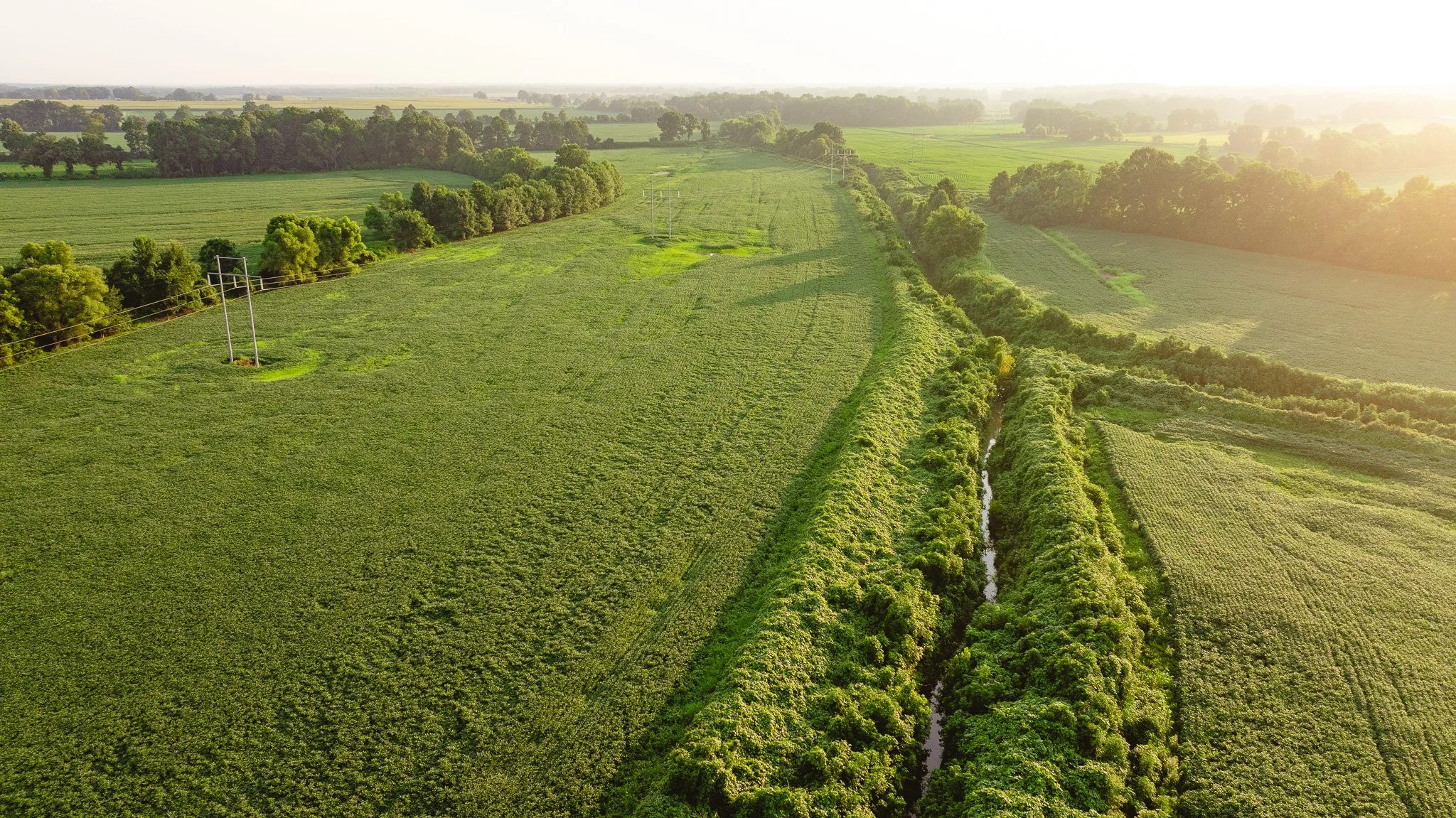 DJI_20260726141549_0067_D.jpg