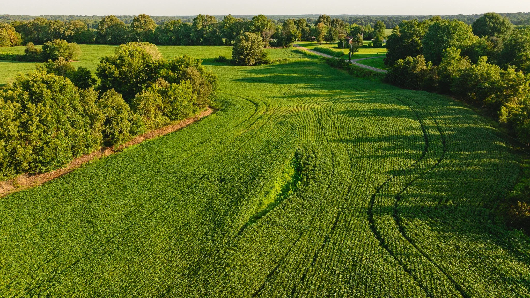 DJI_20260810150144_0009_D.jpg