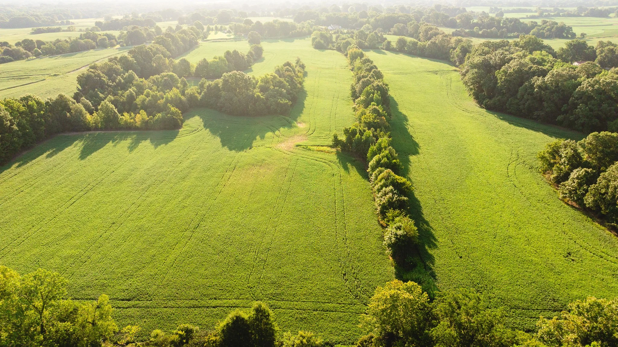 DJI_20260810150827_0025_D.jpg