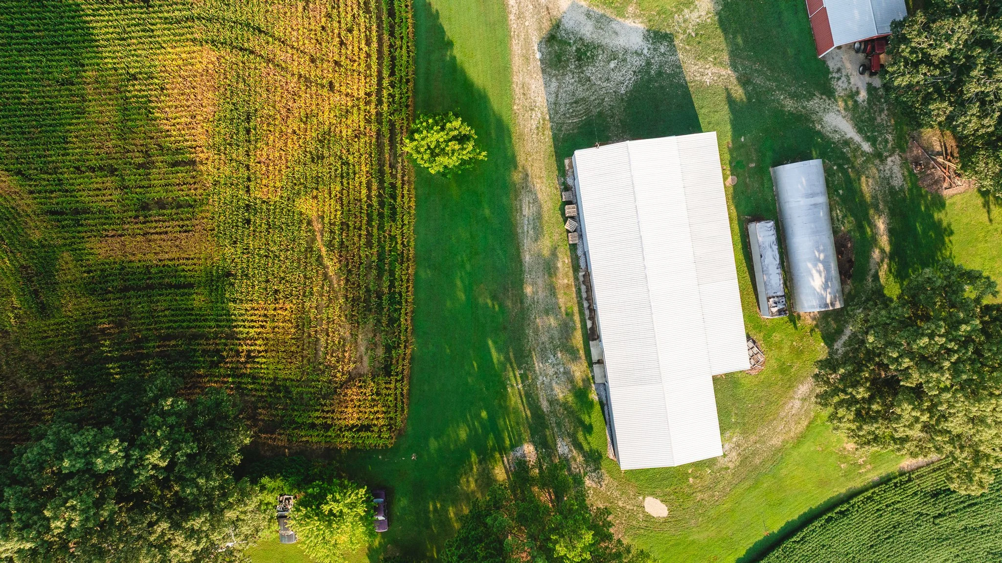 DJI_20260804150909_0036_D.jpg