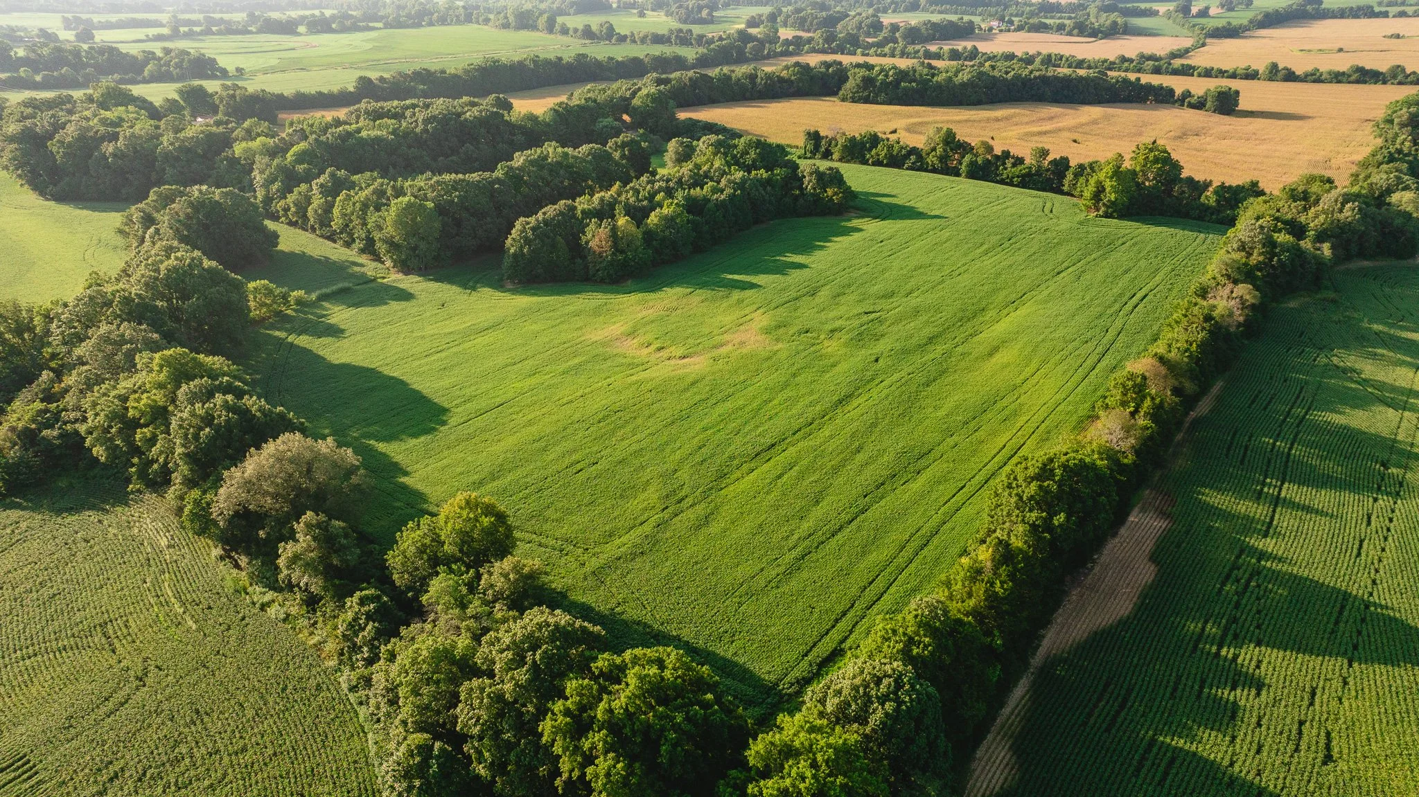DJI_20260810150646_0022_D.jpg