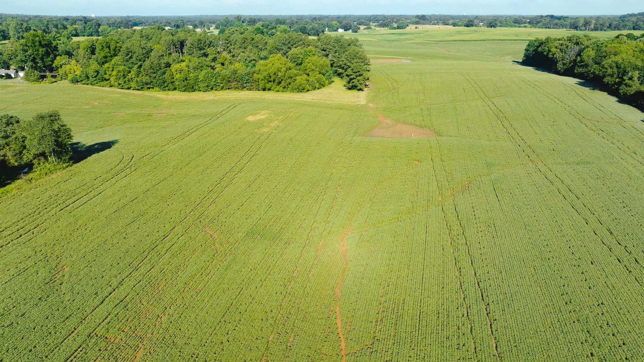 DJI_20260621152941_0048_D.jpg