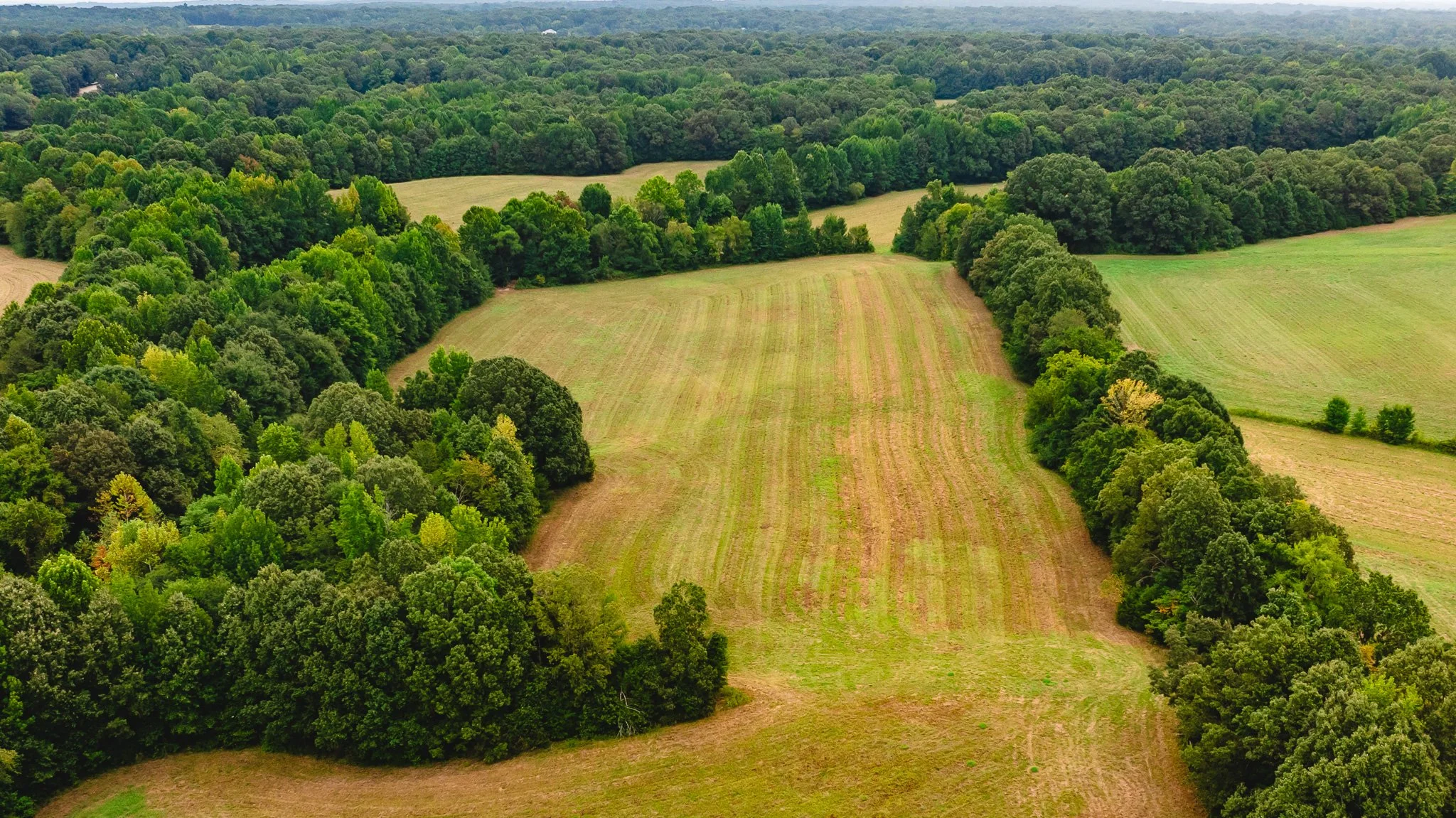DJI_20260817171412_0006_D.jpg