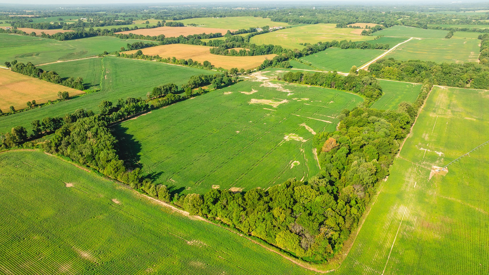 DJI_20260810160726_0050_D.jpg
