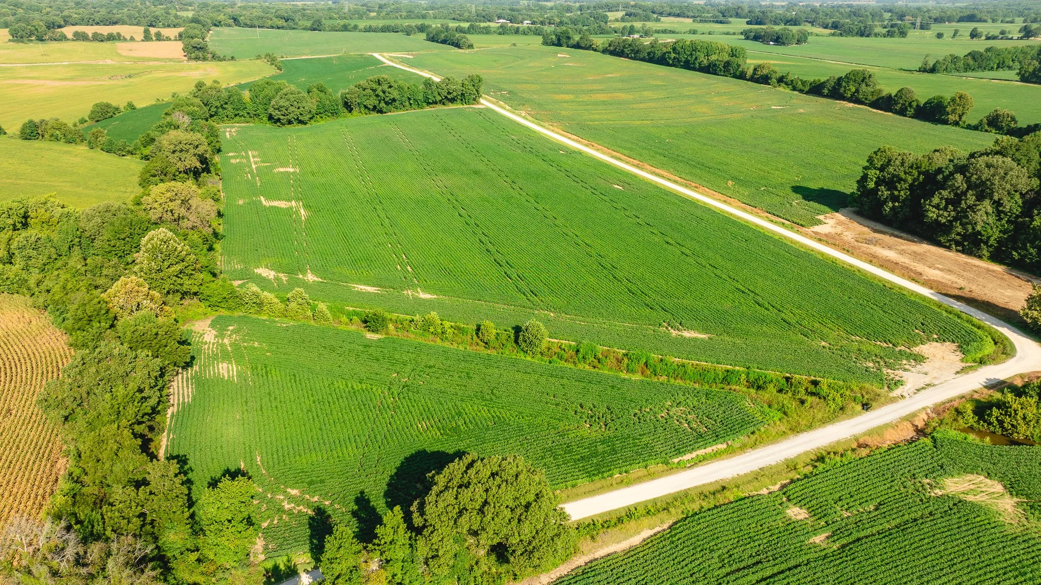 DJI_20260810161246_0063_D.jpg