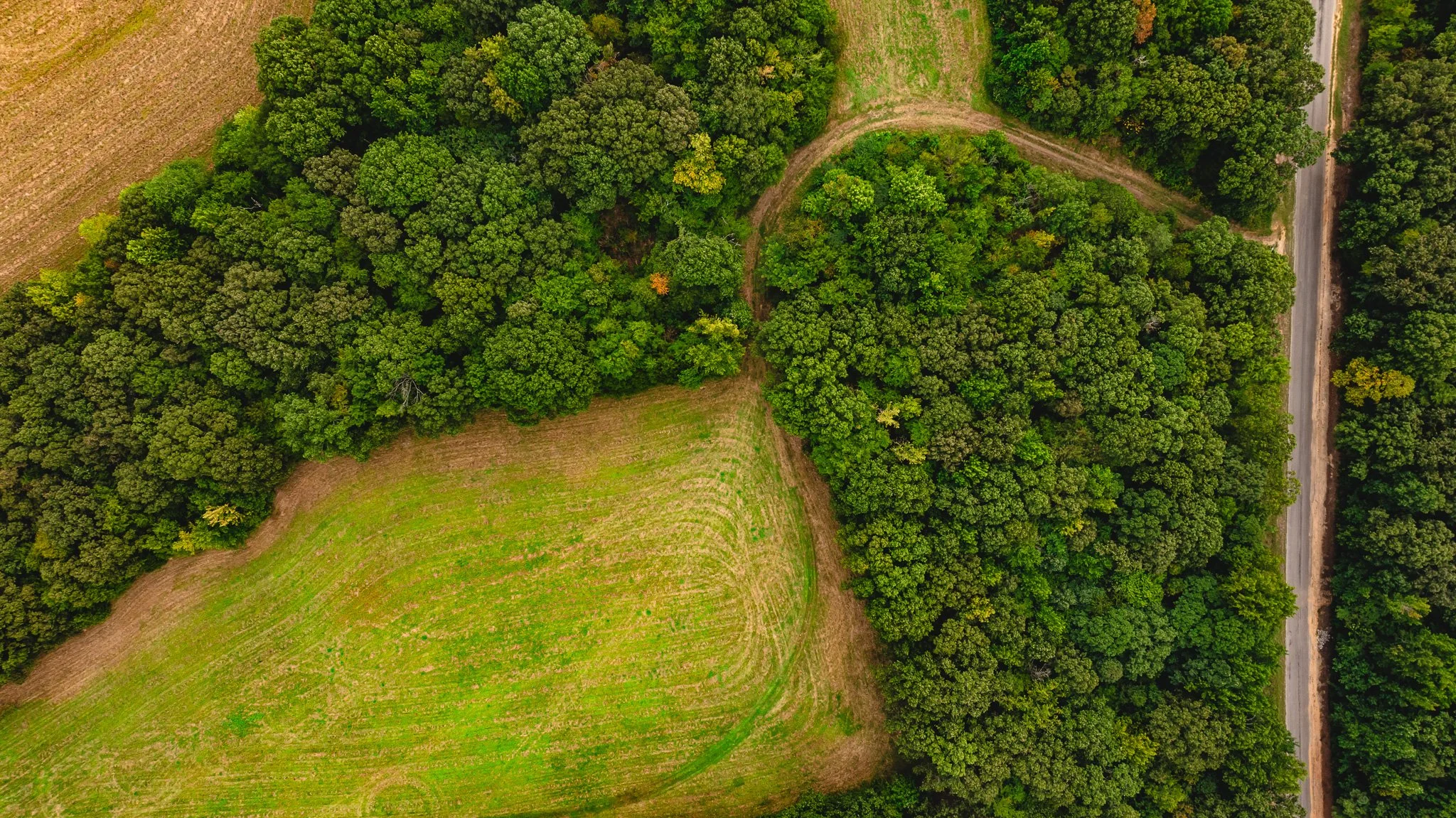 DJI_20260817174402_0069_D.jpg