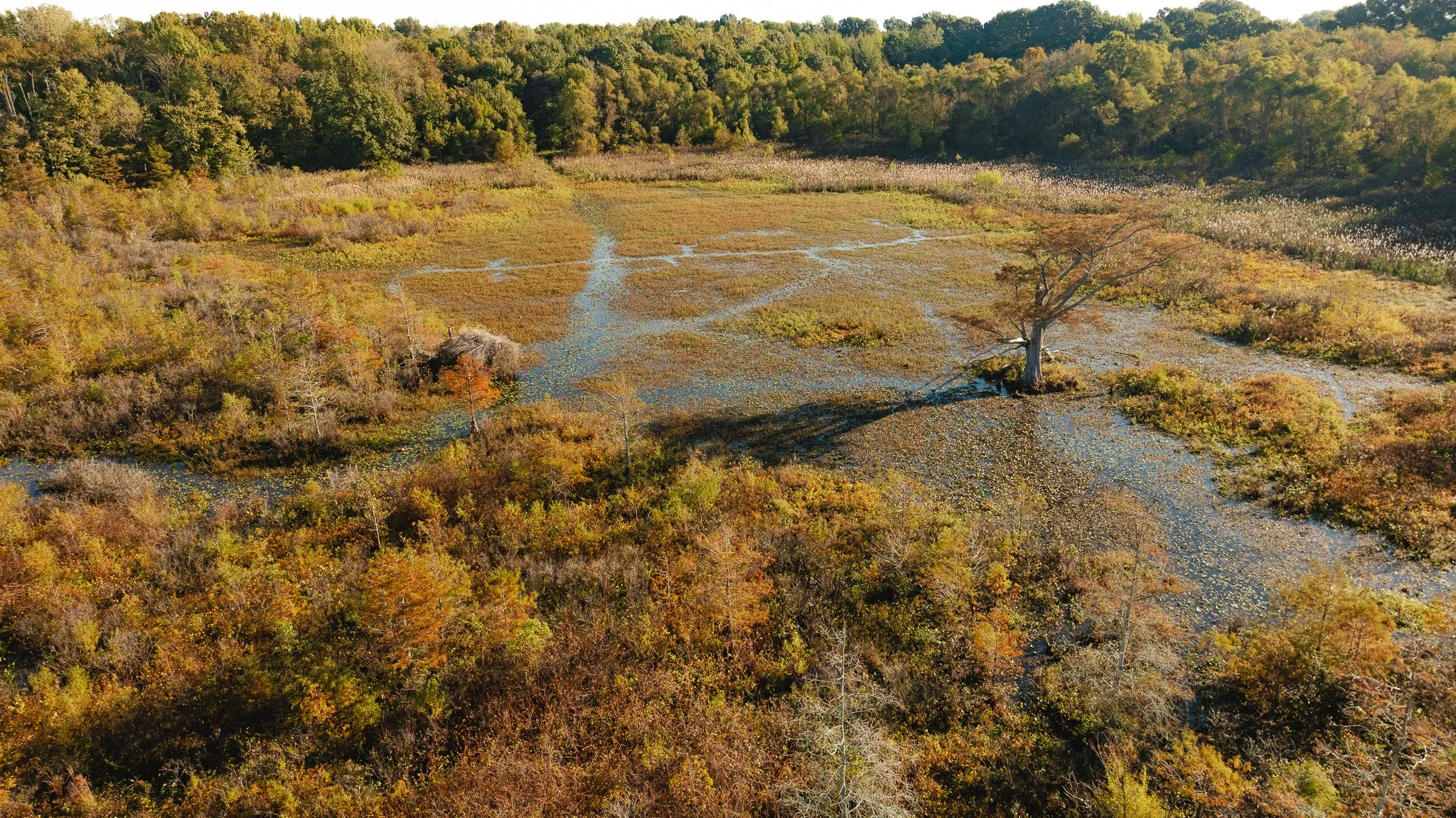 DJI_20261018155308_0025_D.jpg