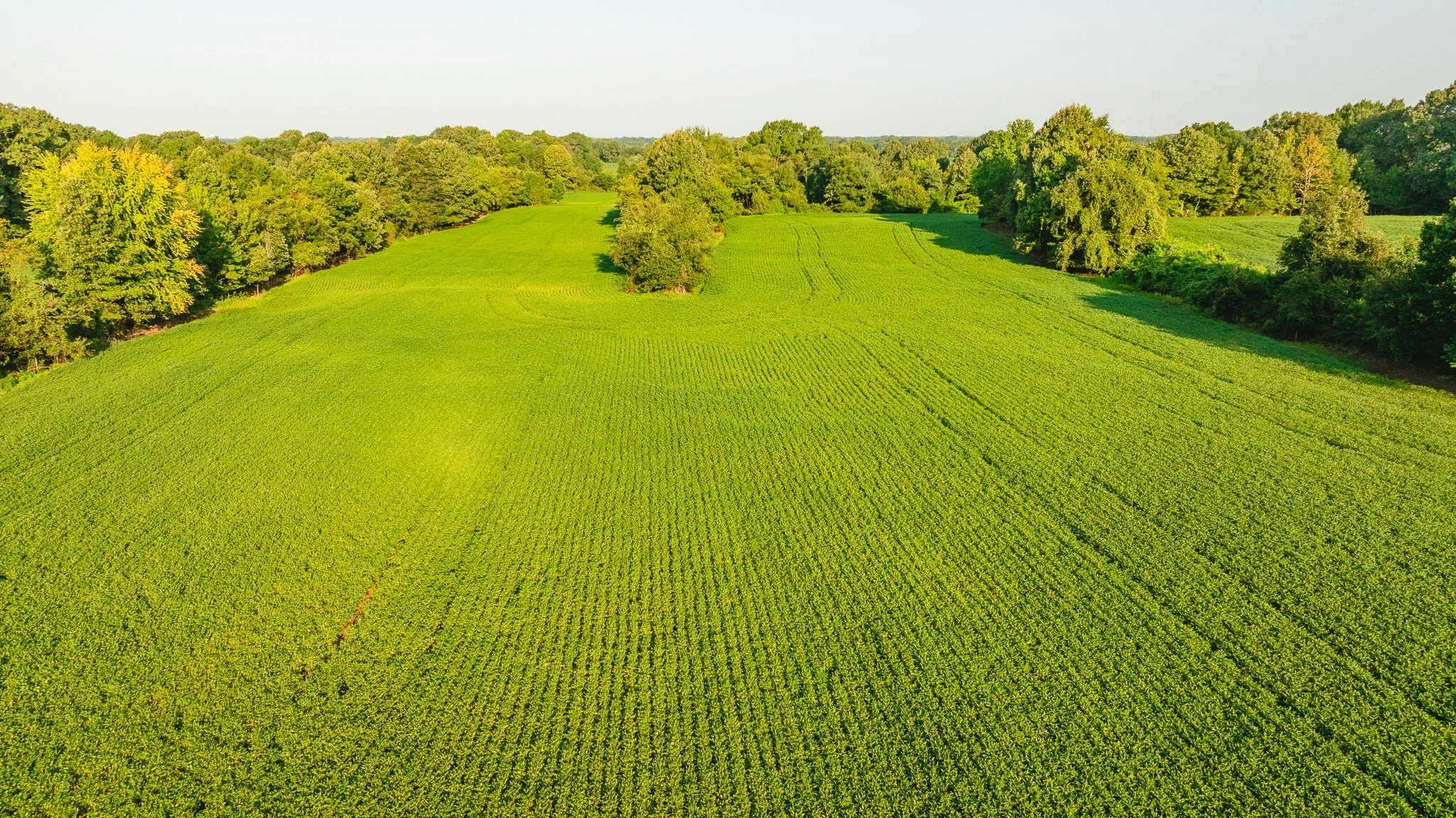 DJI_20260810150259_0013_D.jpg