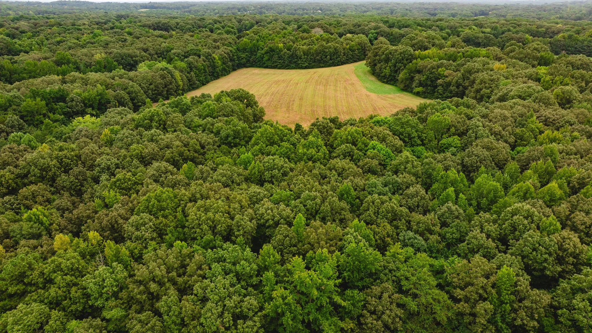 DJI_20260817172250_0025_D.jpg