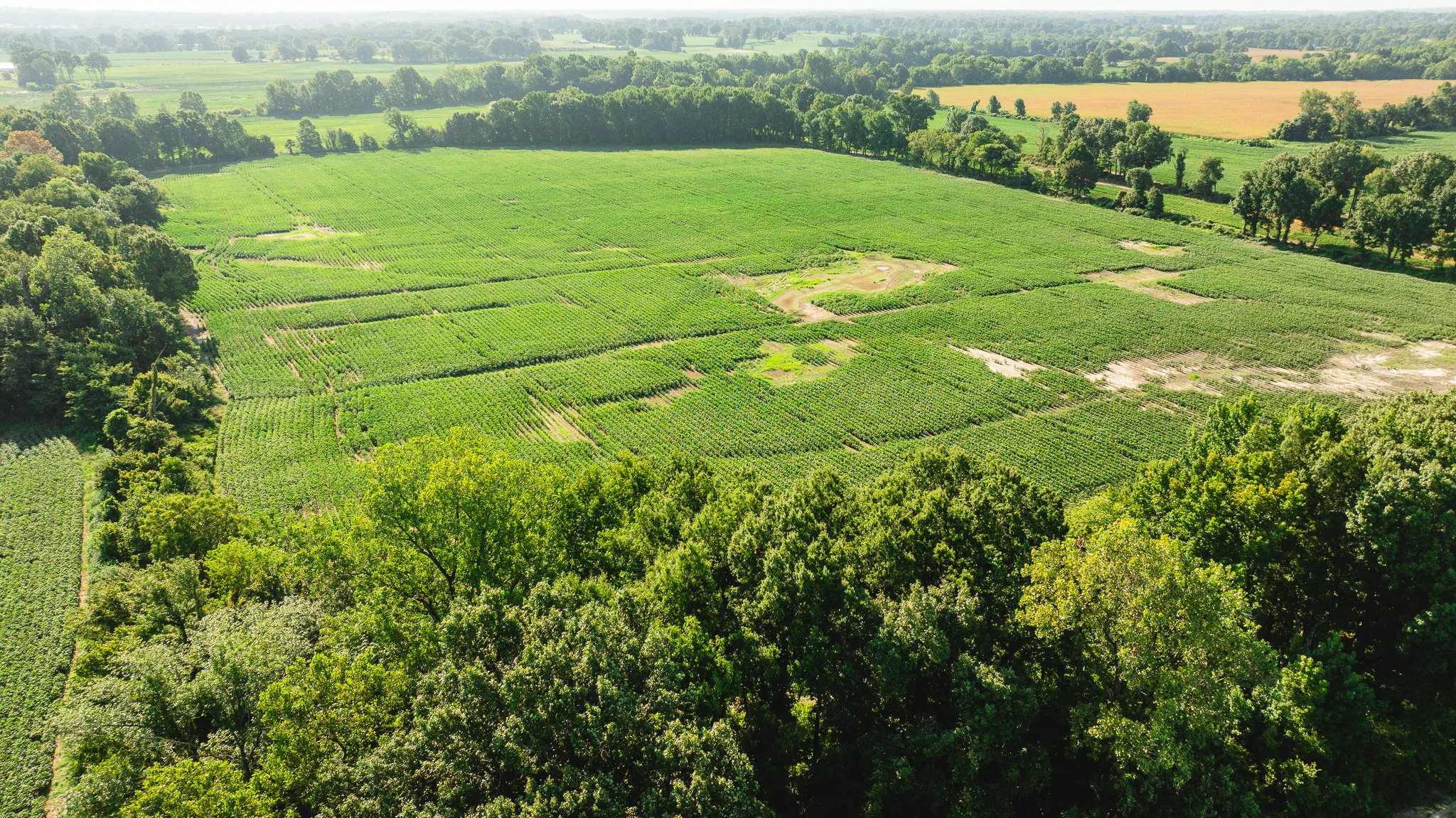 DJI_20260810161154_0060_D.jpg
