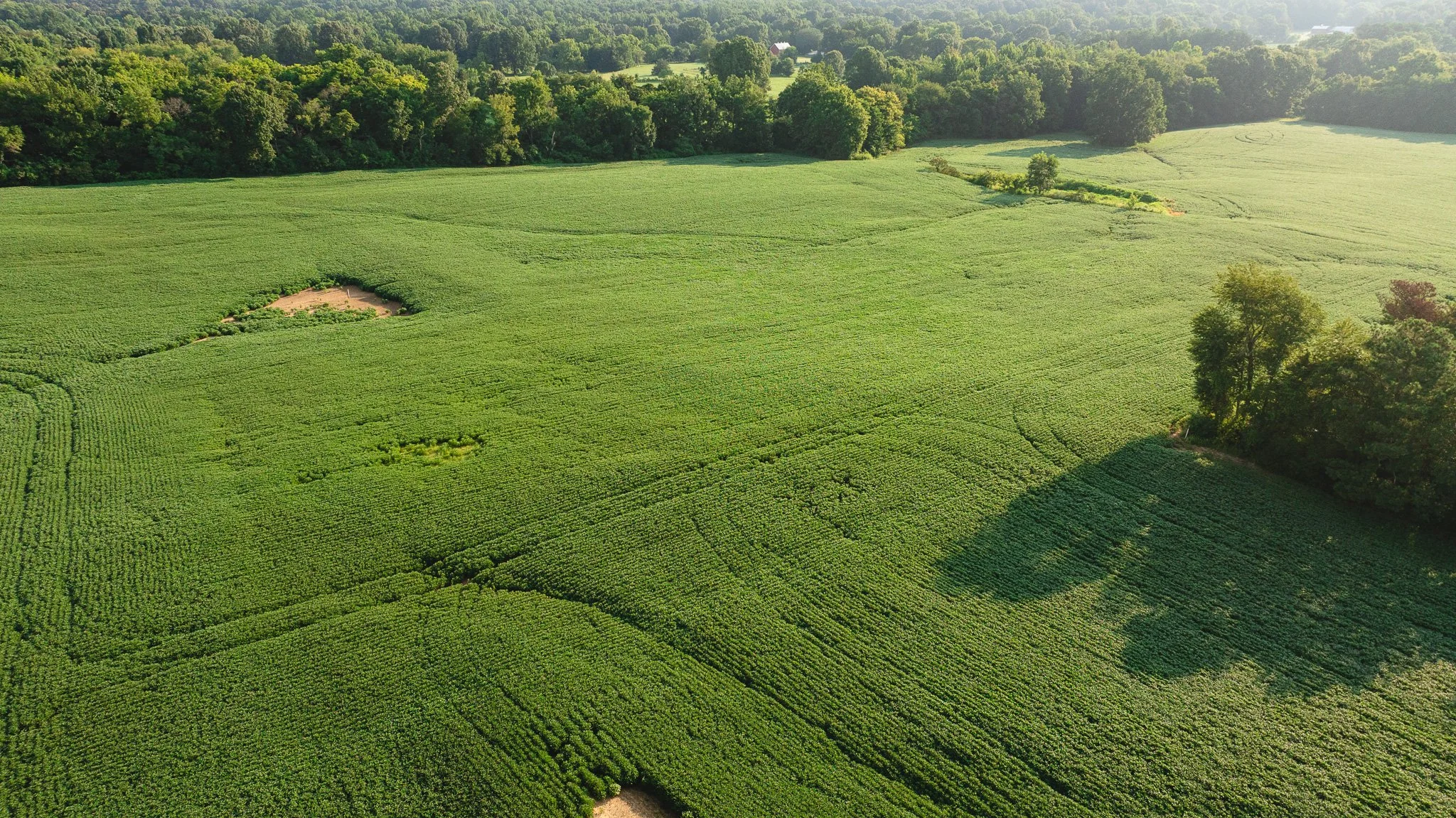 DJI_20260804152214_0073_D.jpg
