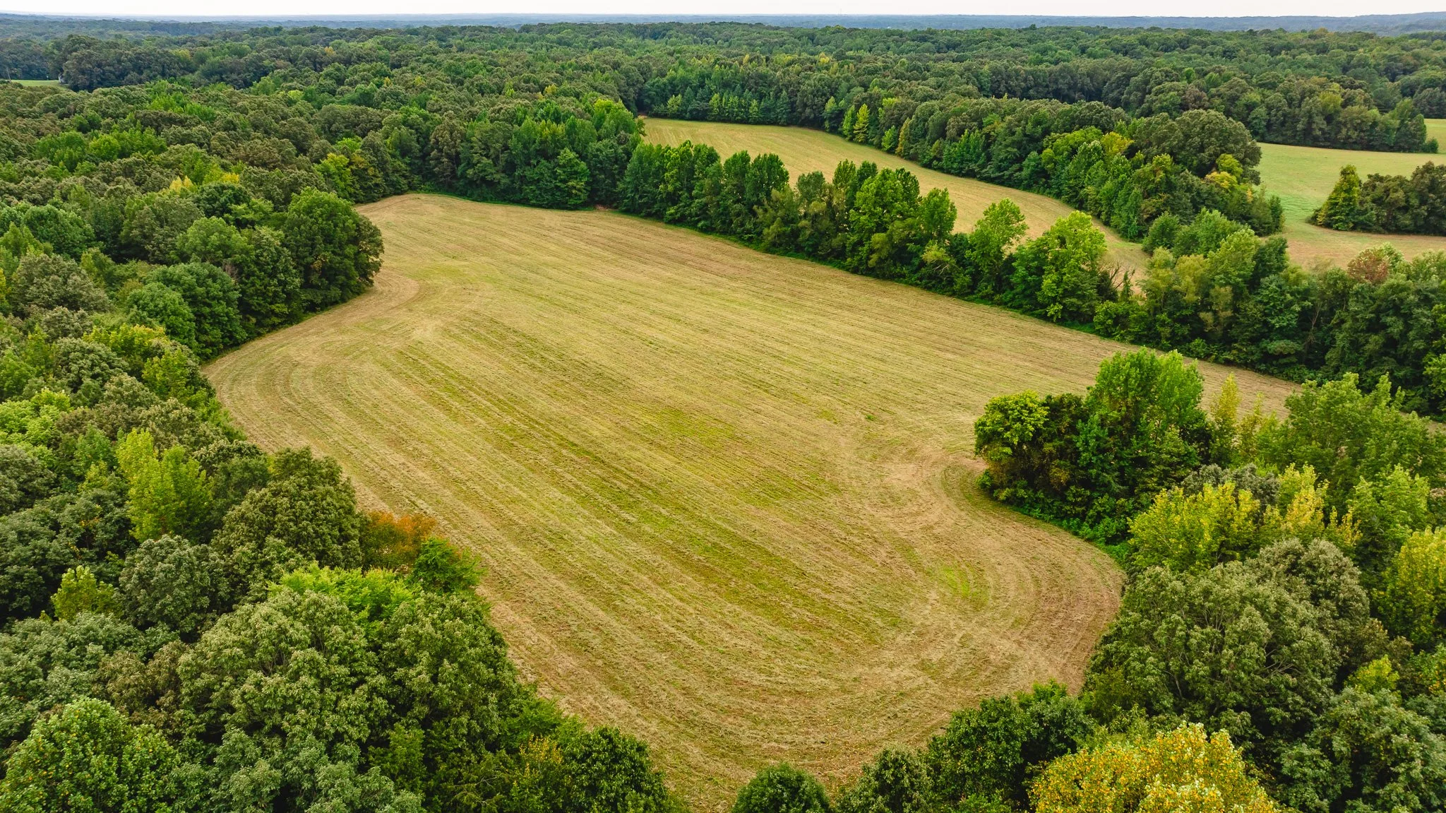 DJI_20260817171923_0019_D.jpg