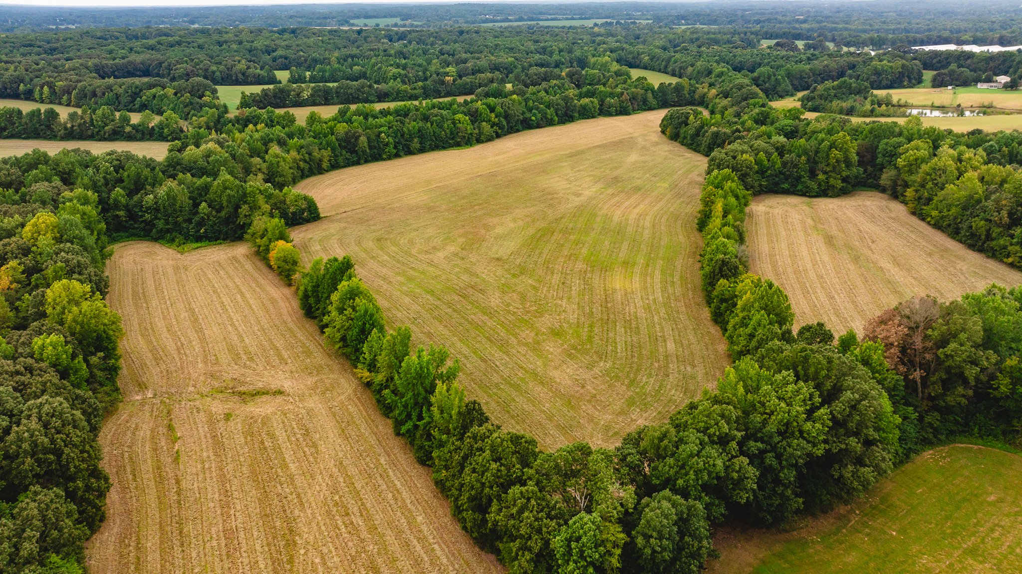 DJI_20260817171706_0013_D.jpg