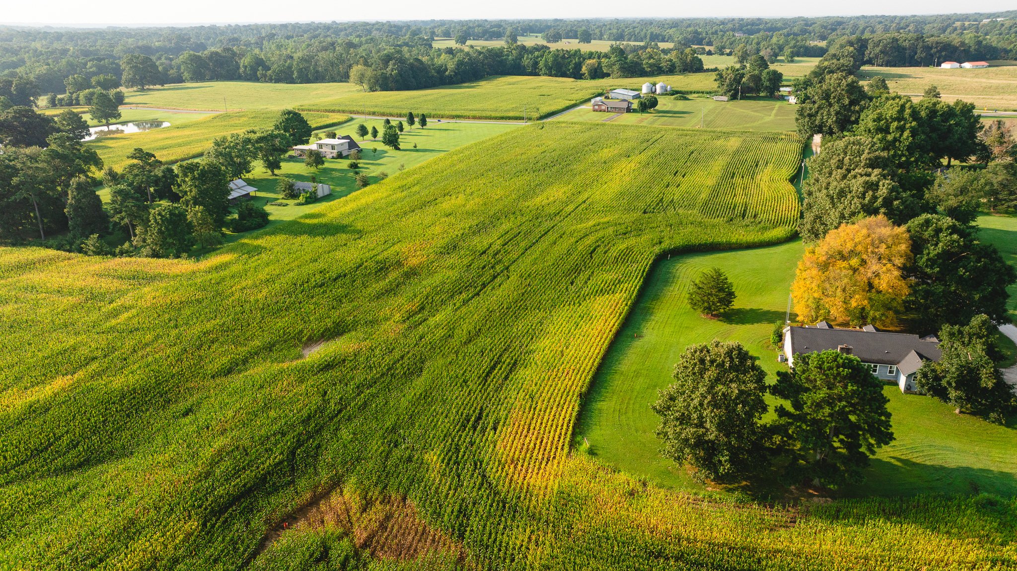 DJI_20260804151455_0051_D.jpg