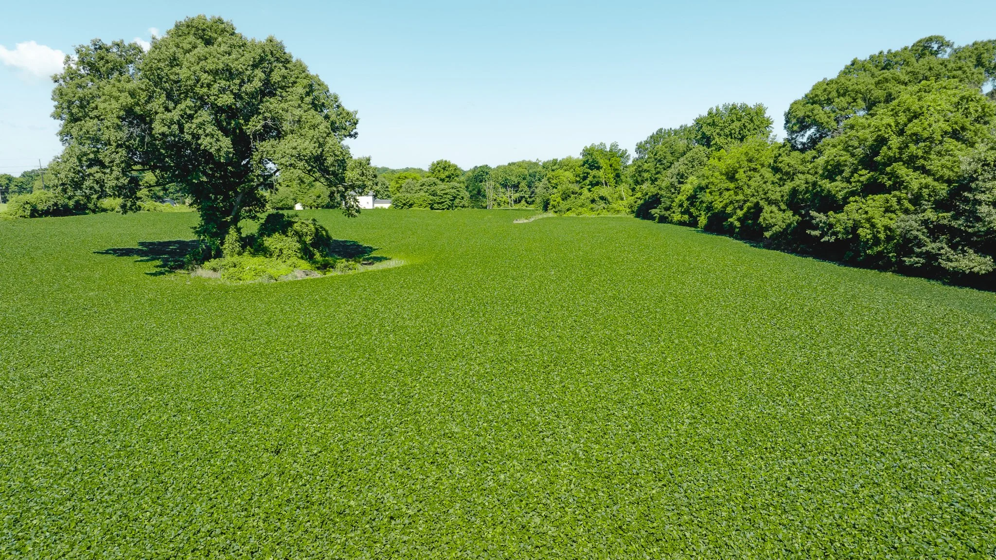 DJI_20260614170050_0007_D.jpg