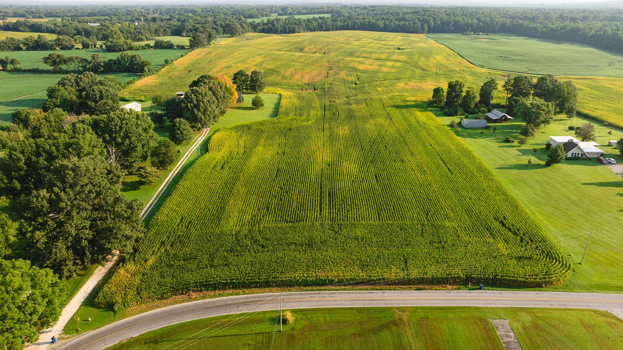 DJI_20260804151348_0046_D.jpg