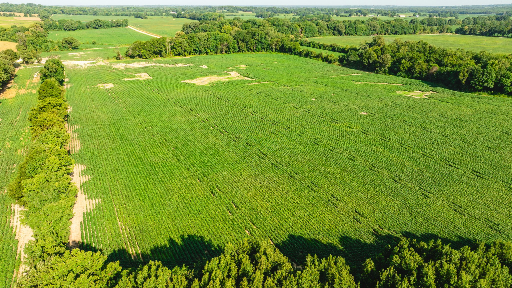 DJI_20260810160904_0054_D.jpg