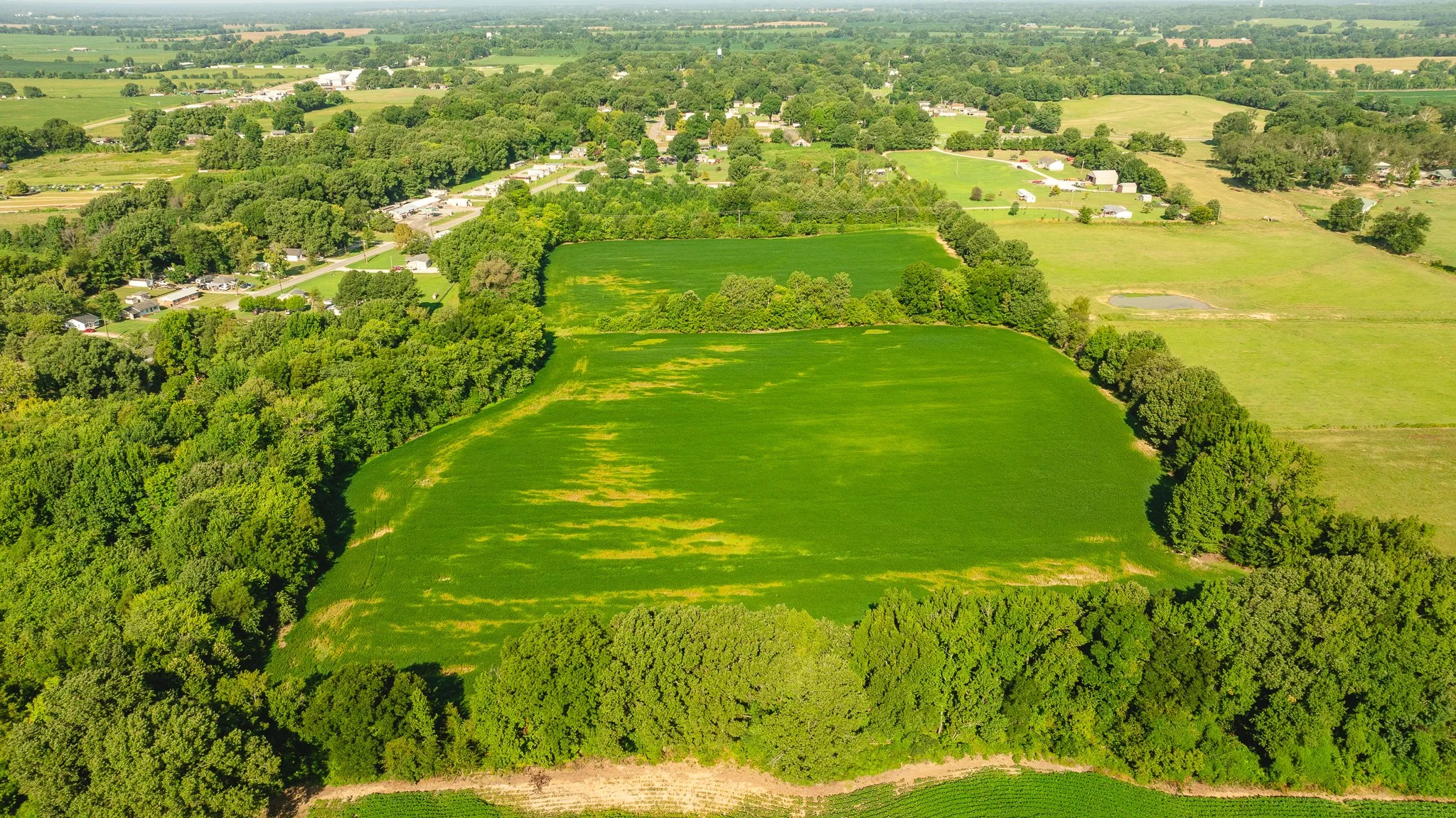 DJI_20260810163906_0077_D.jpg