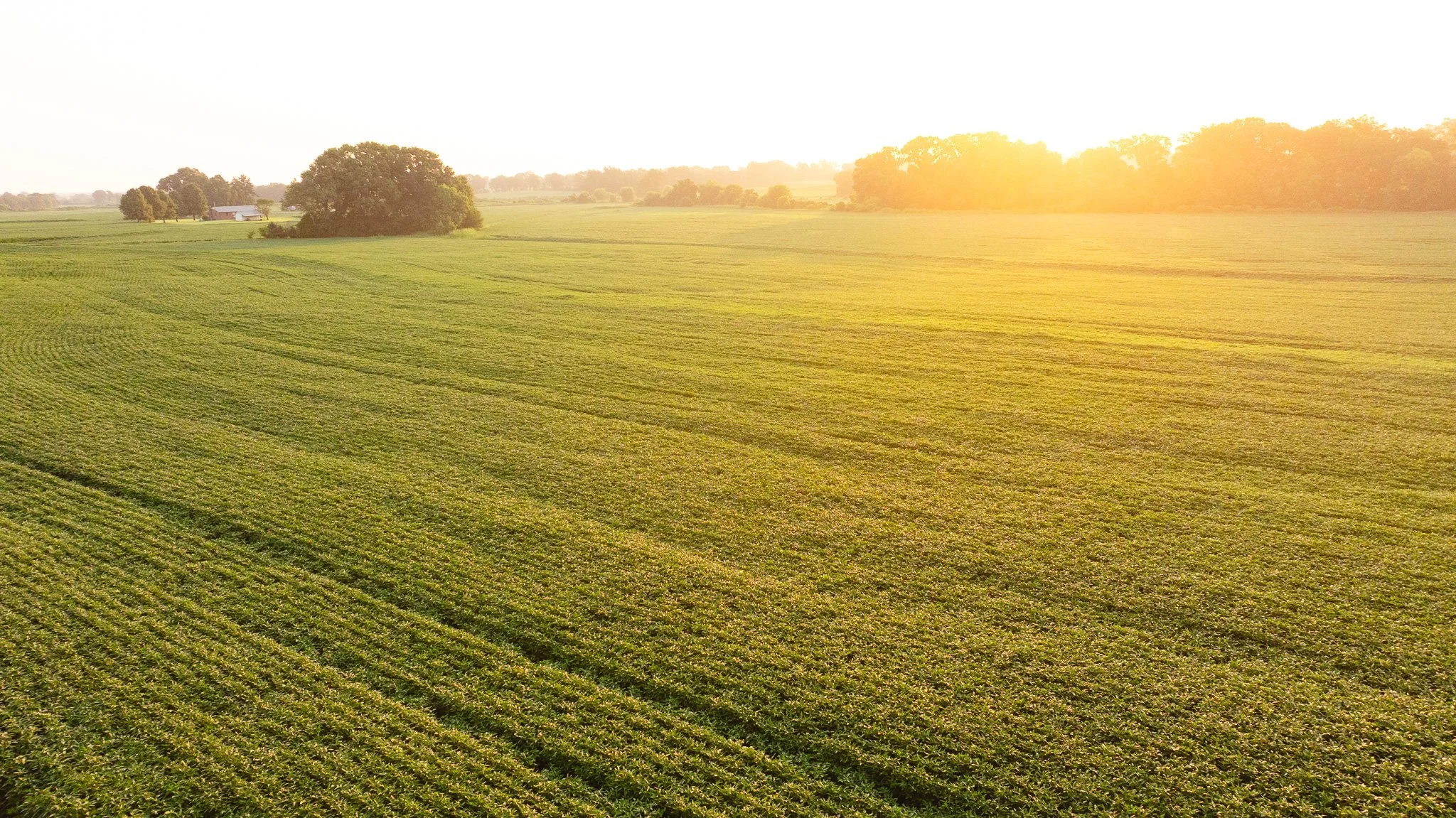 DJI_20260726135438_0025_D.jpg